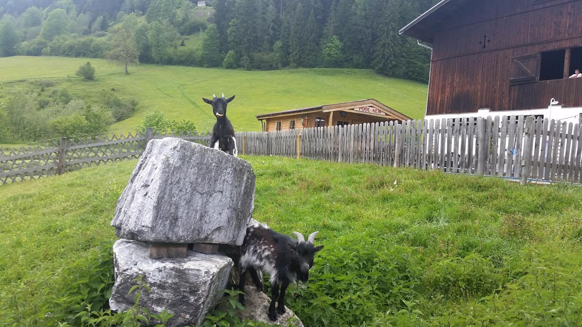 Hinteraigengut Landhotel