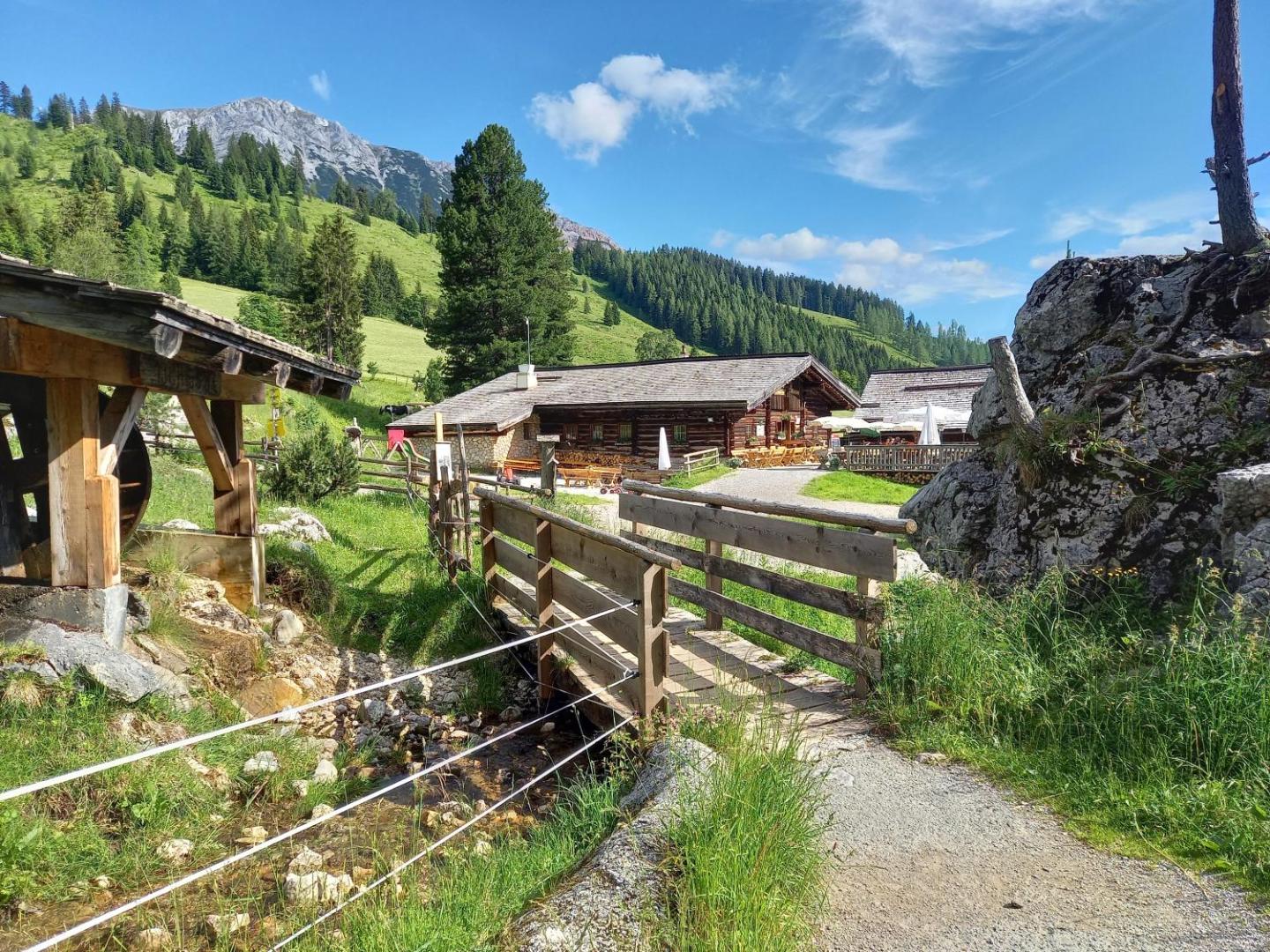 Sonnfeld