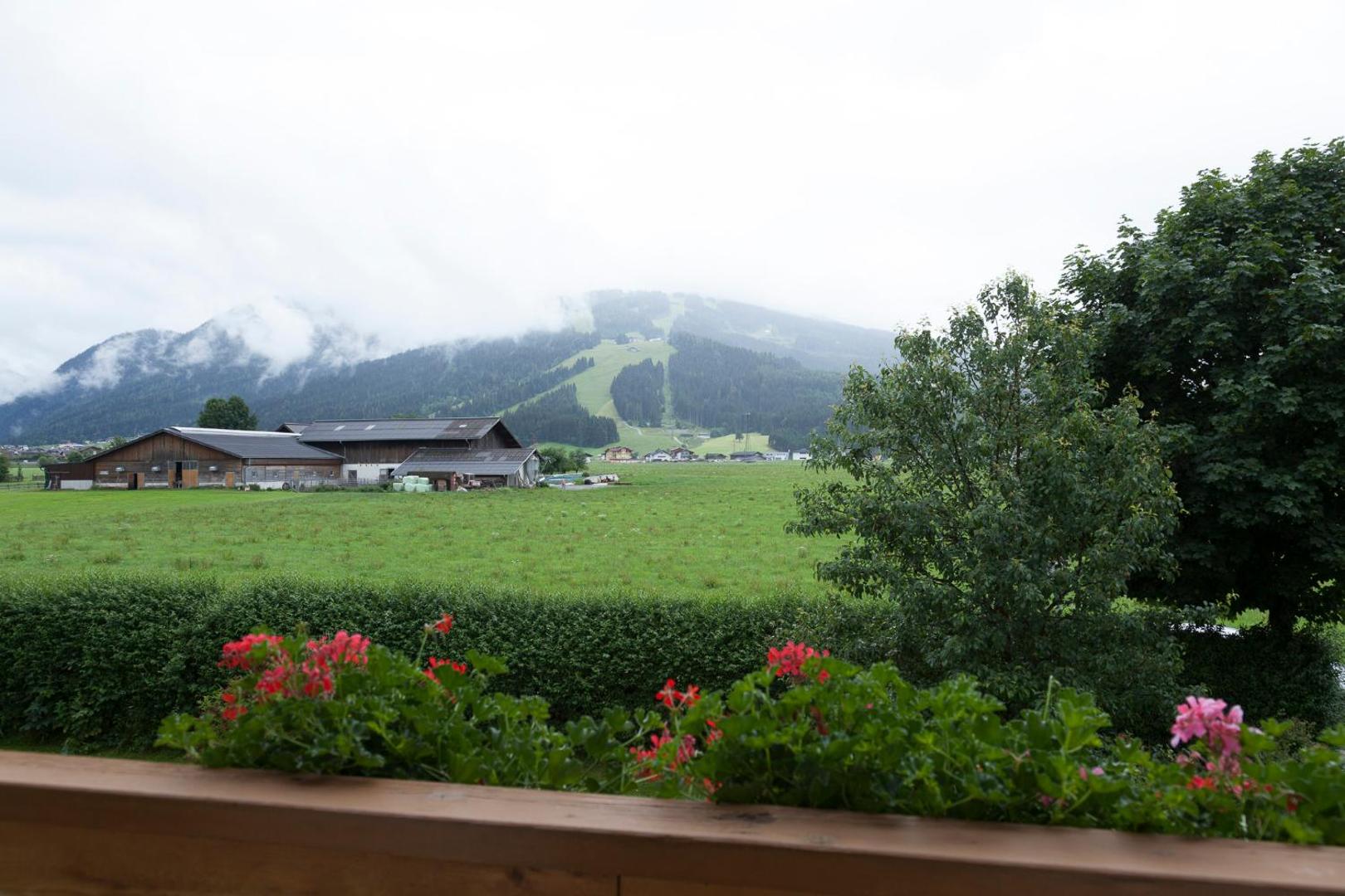 Sonnfeld
