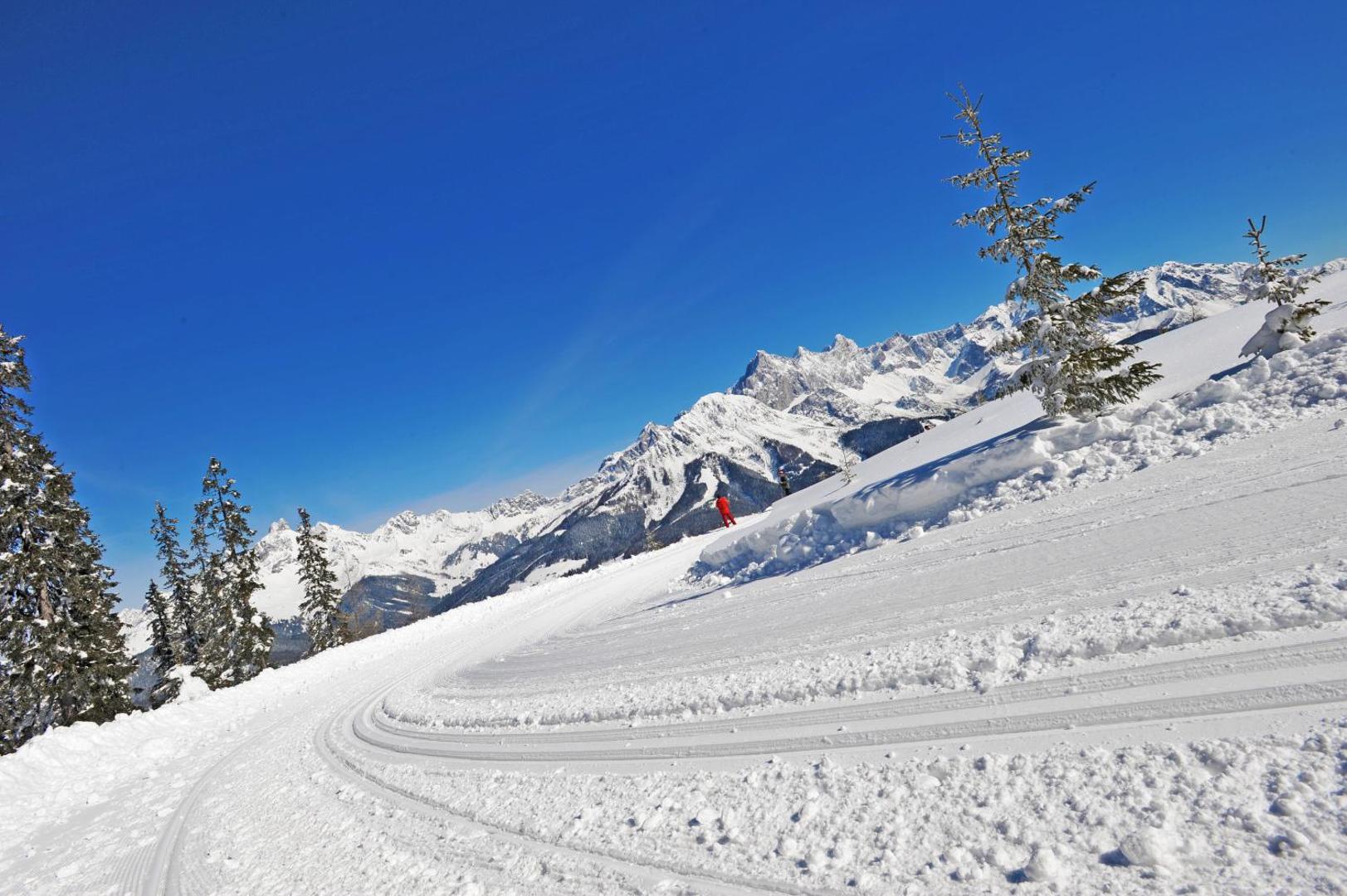 Sonnfeld