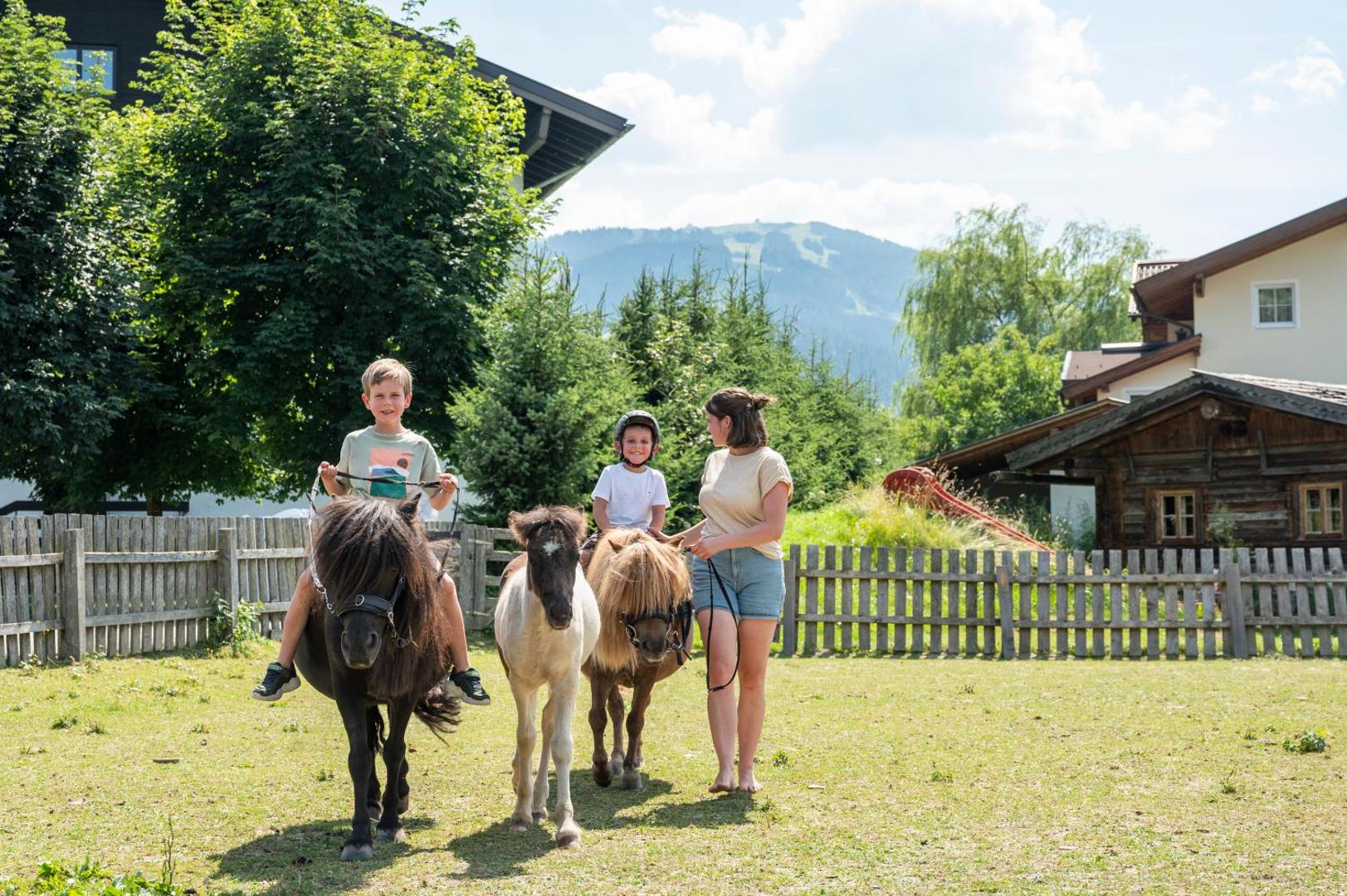 Sonnfeld