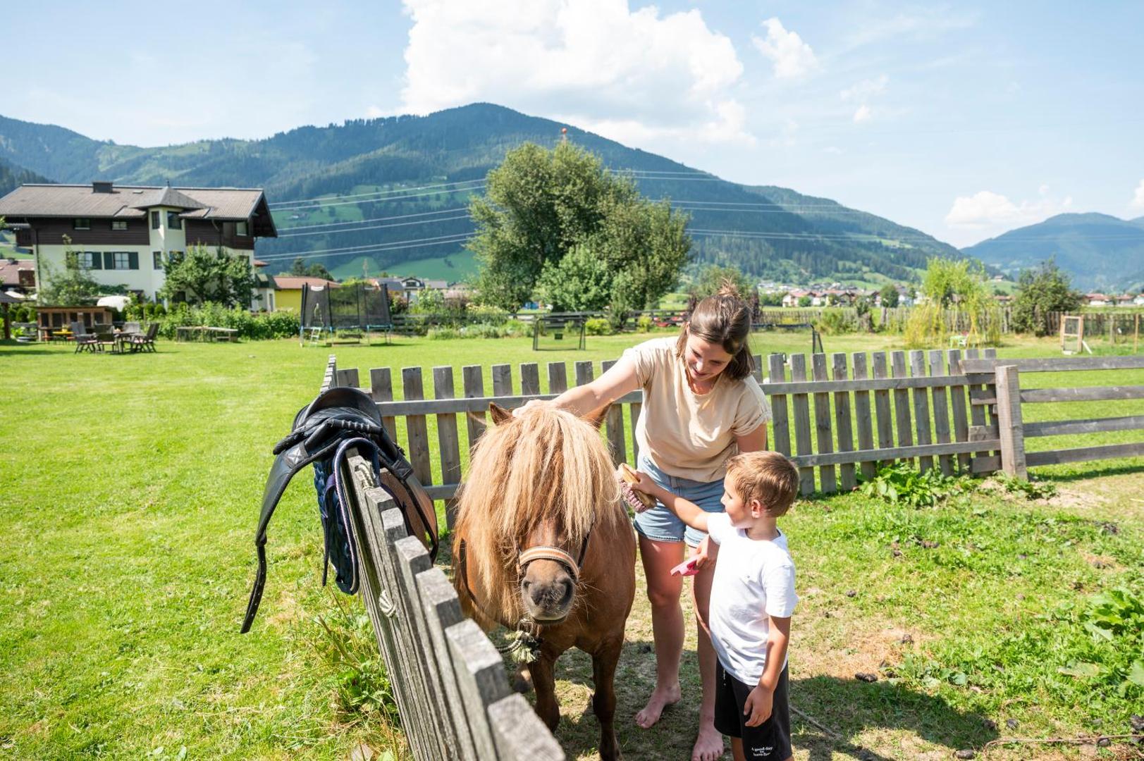 Sonnfeld
