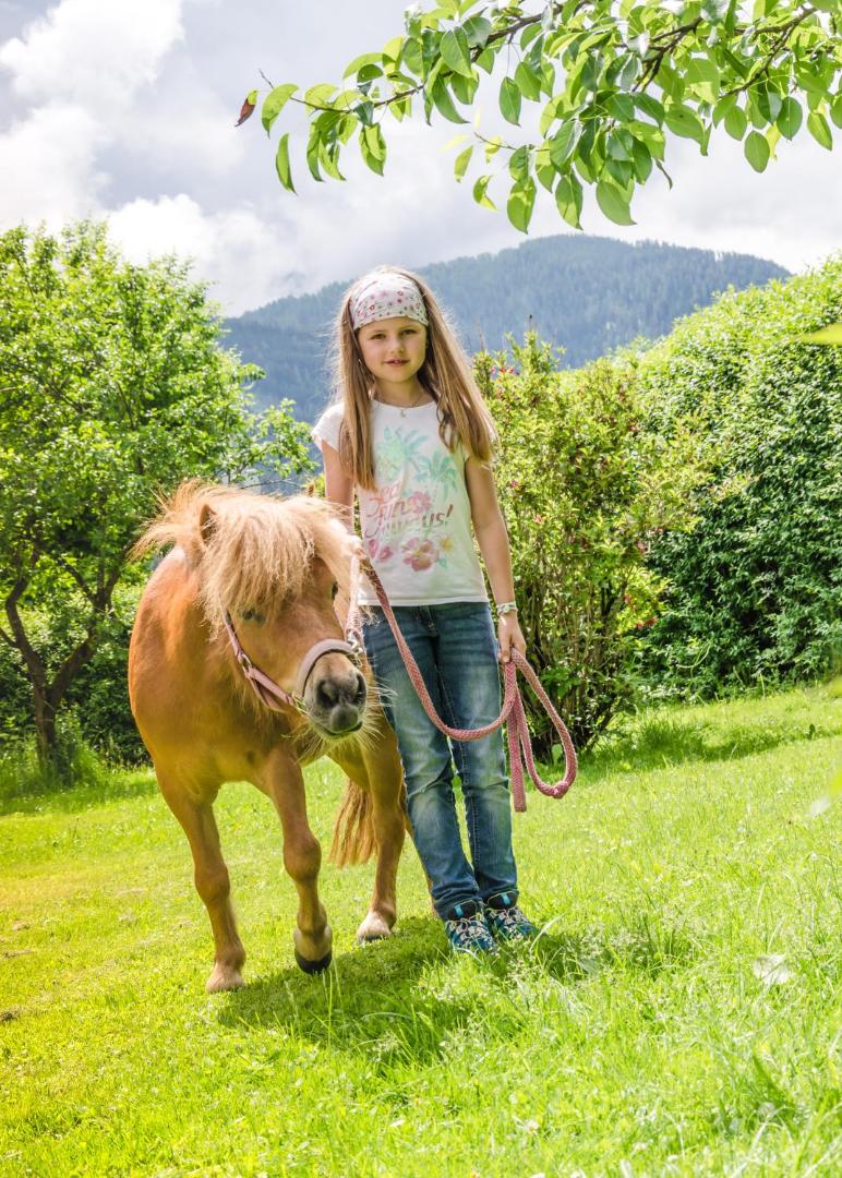 Sonnfeld