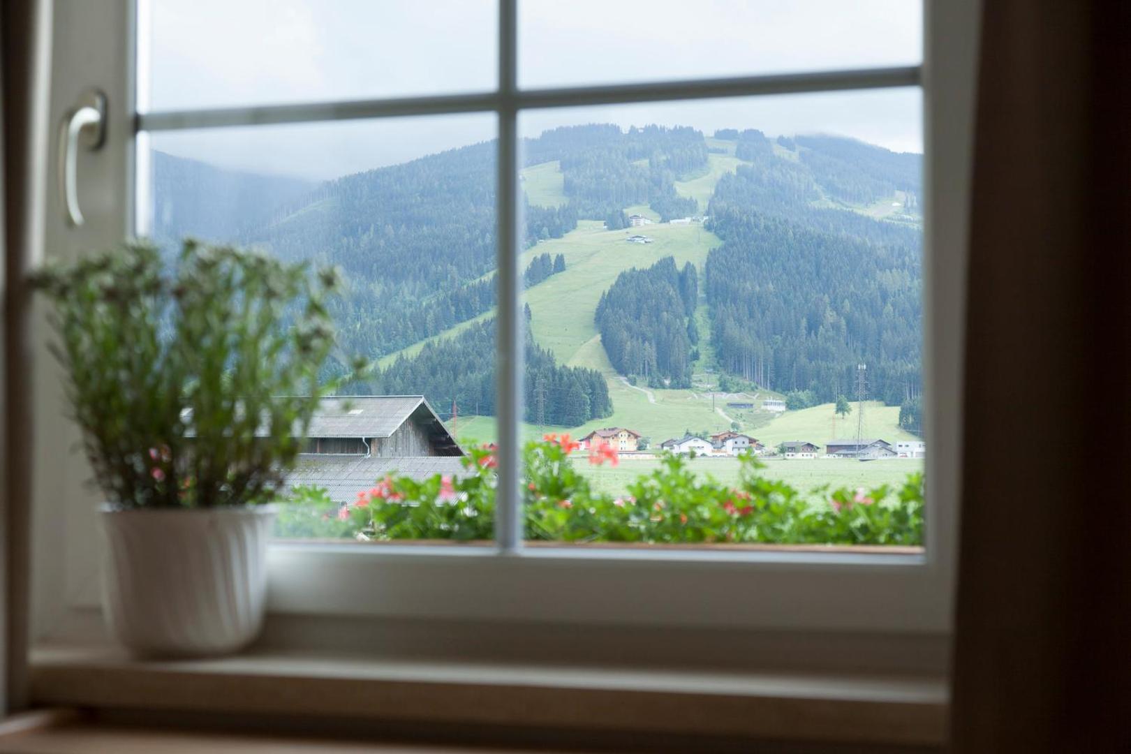 Sonnfeld