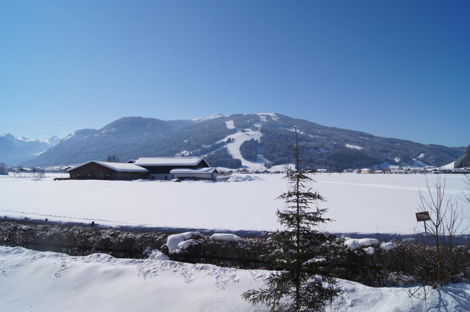 Sonnfeld