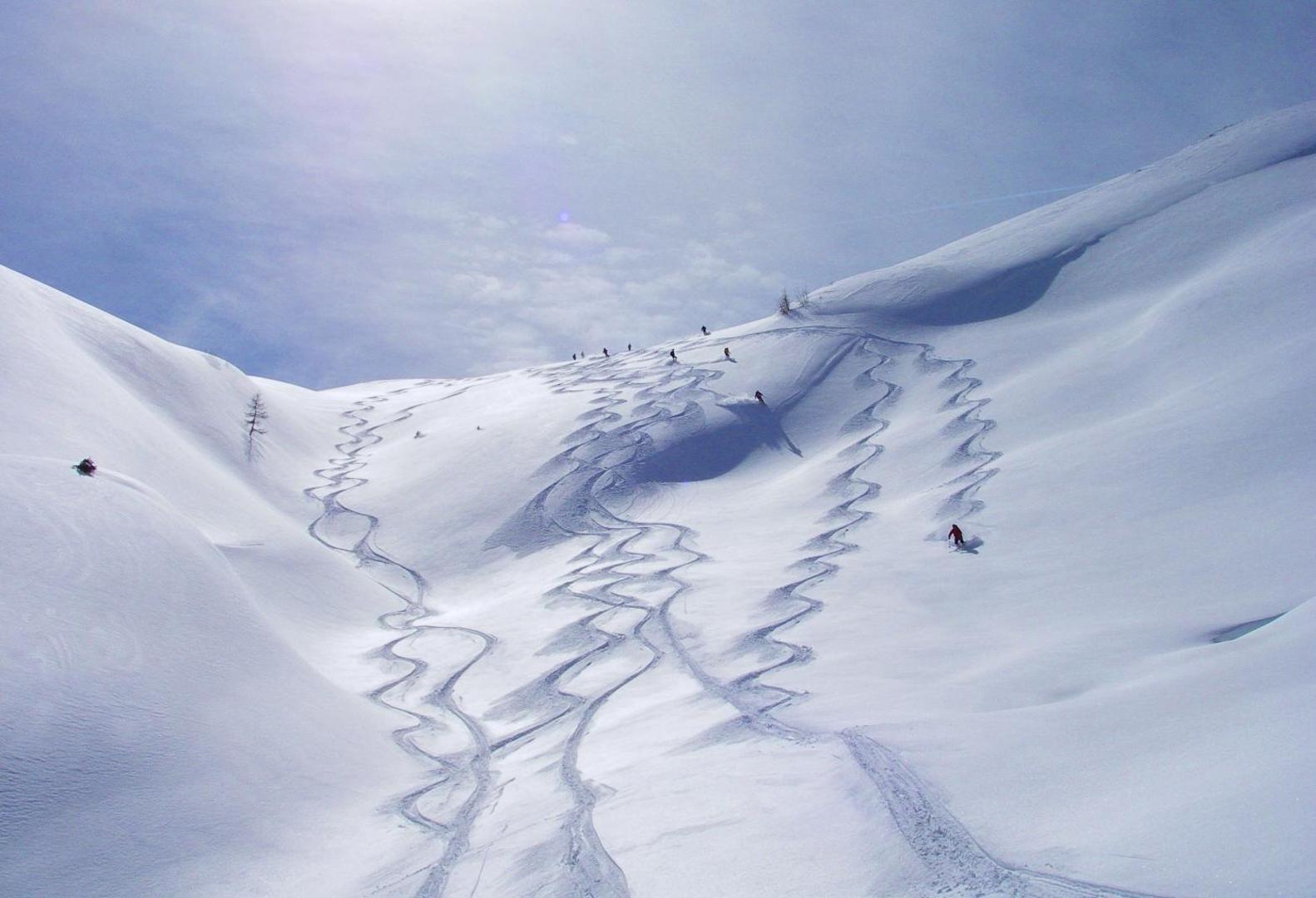 Sonnfeld