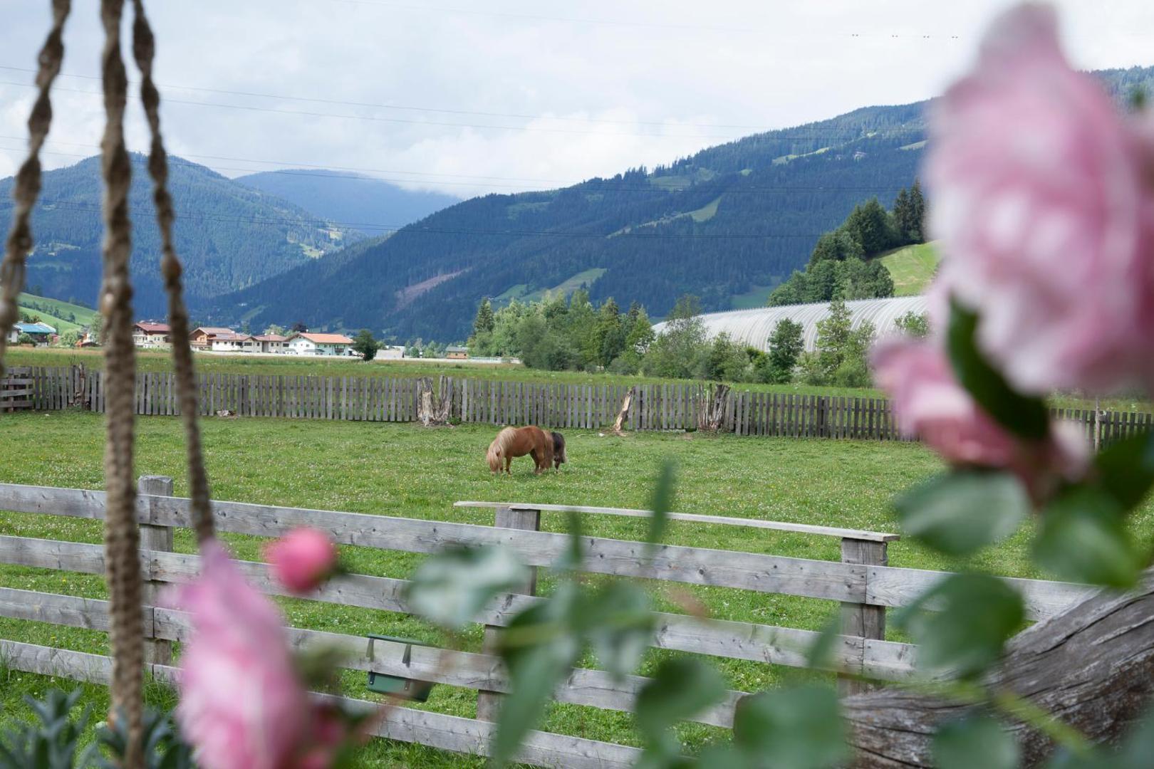 Sonnfeld