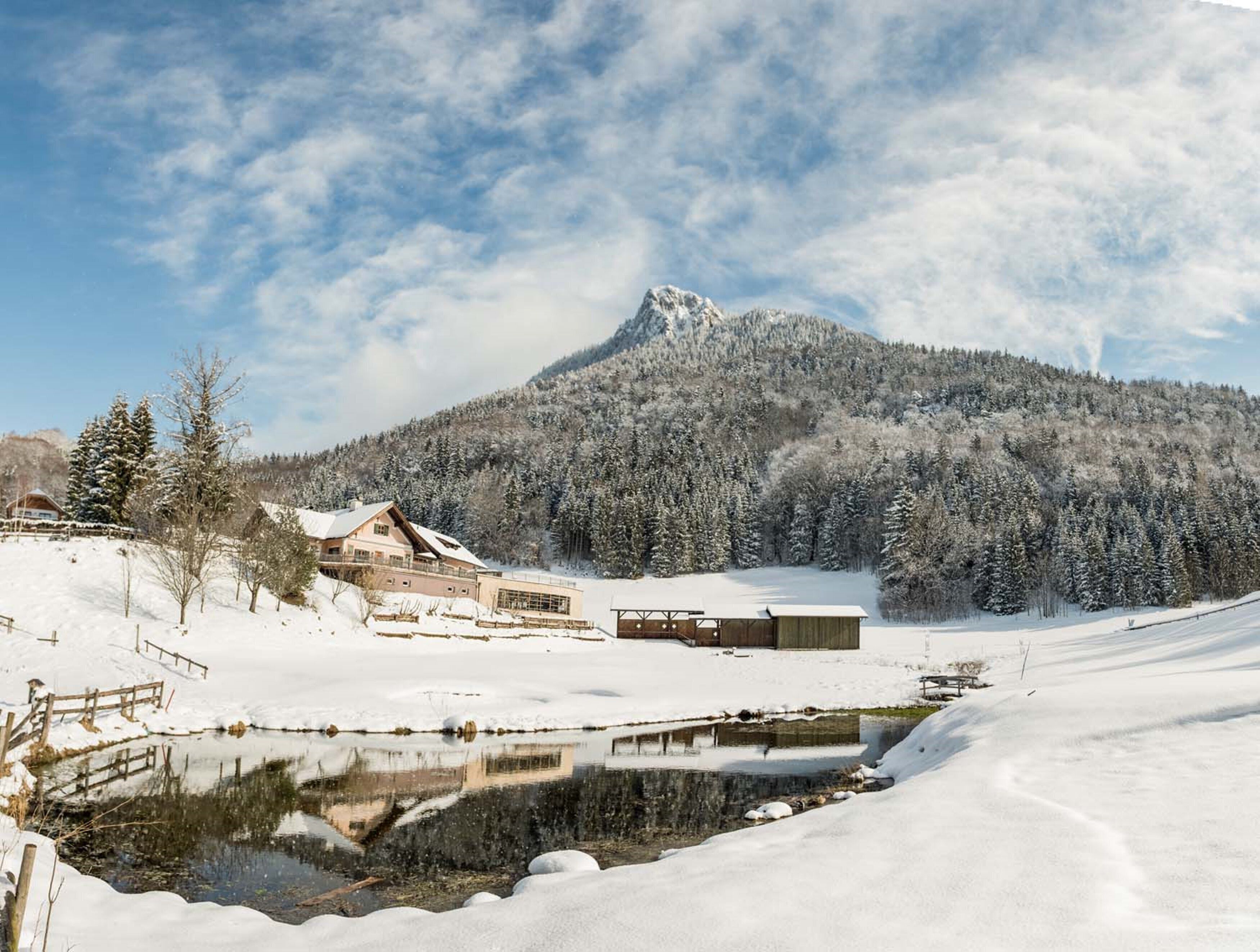 Waldhof Fuschlsee Resort