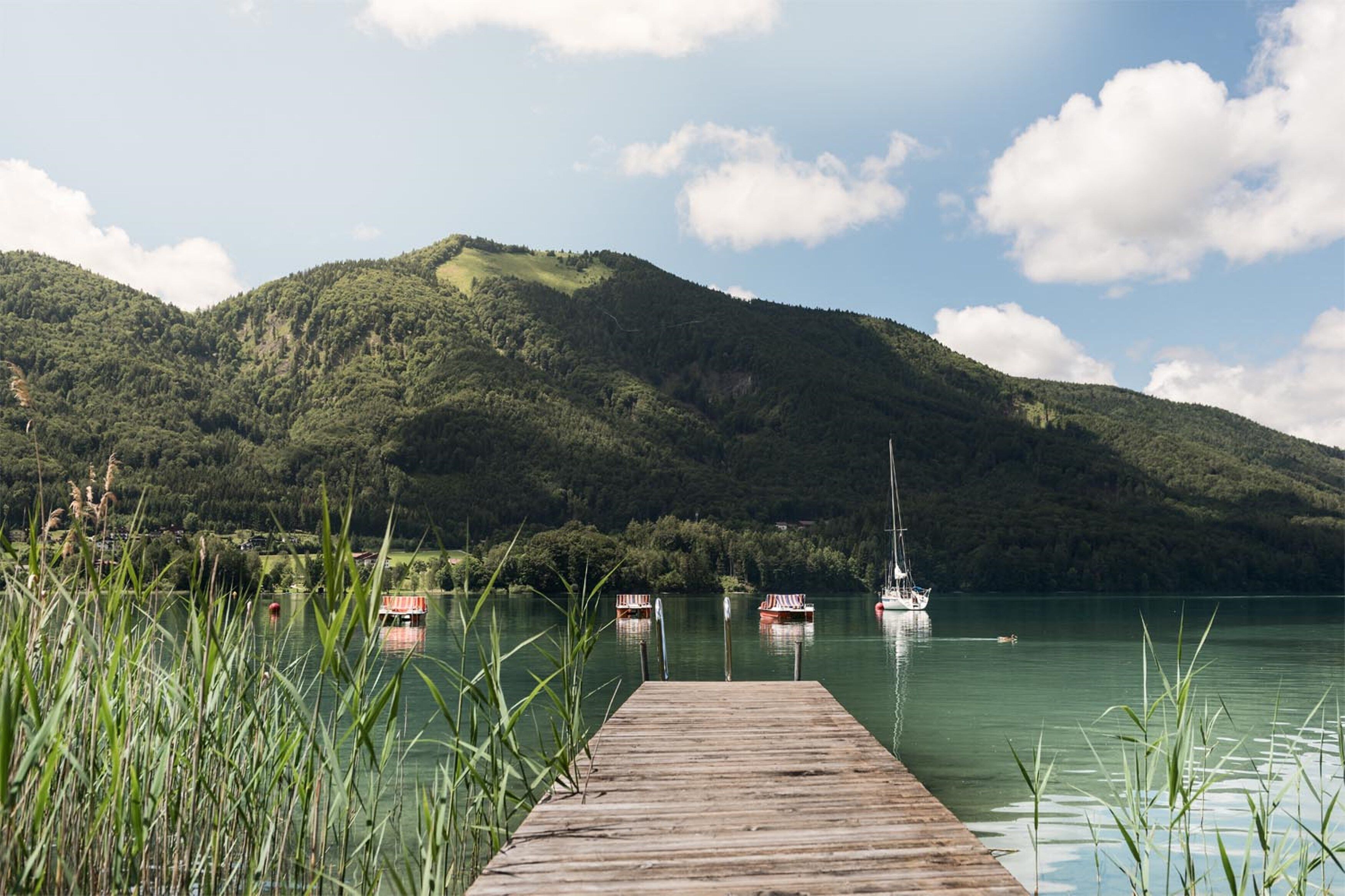 Waldhof Fuschlsee Resort