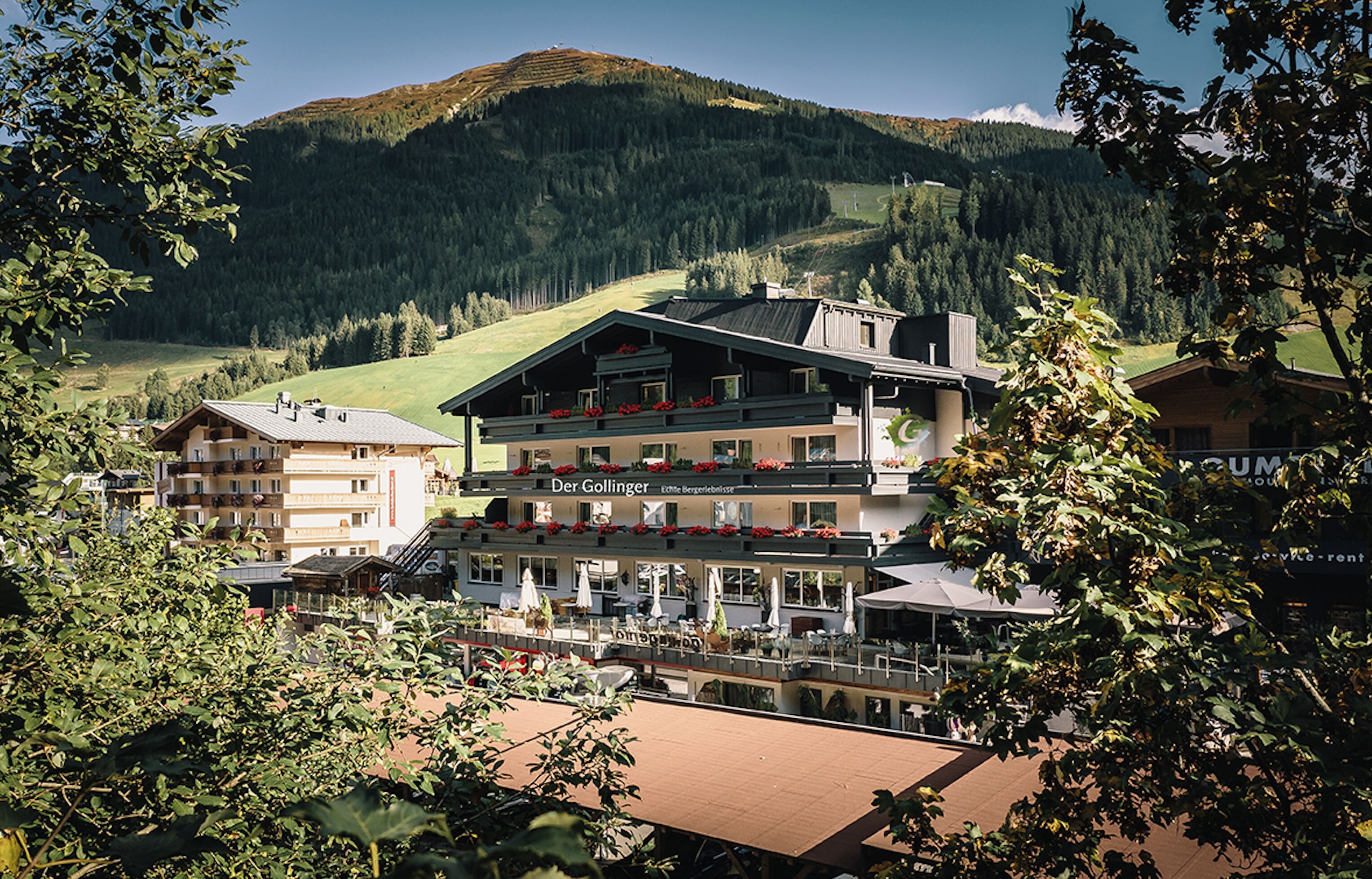 Der Gollinger