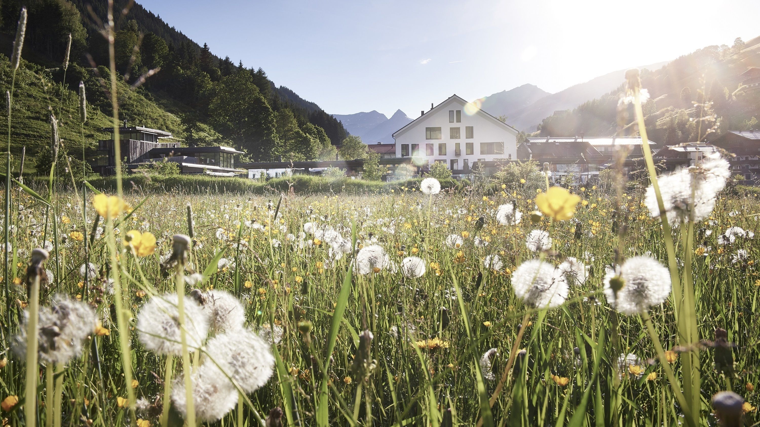 Designhotel Wiesergut
