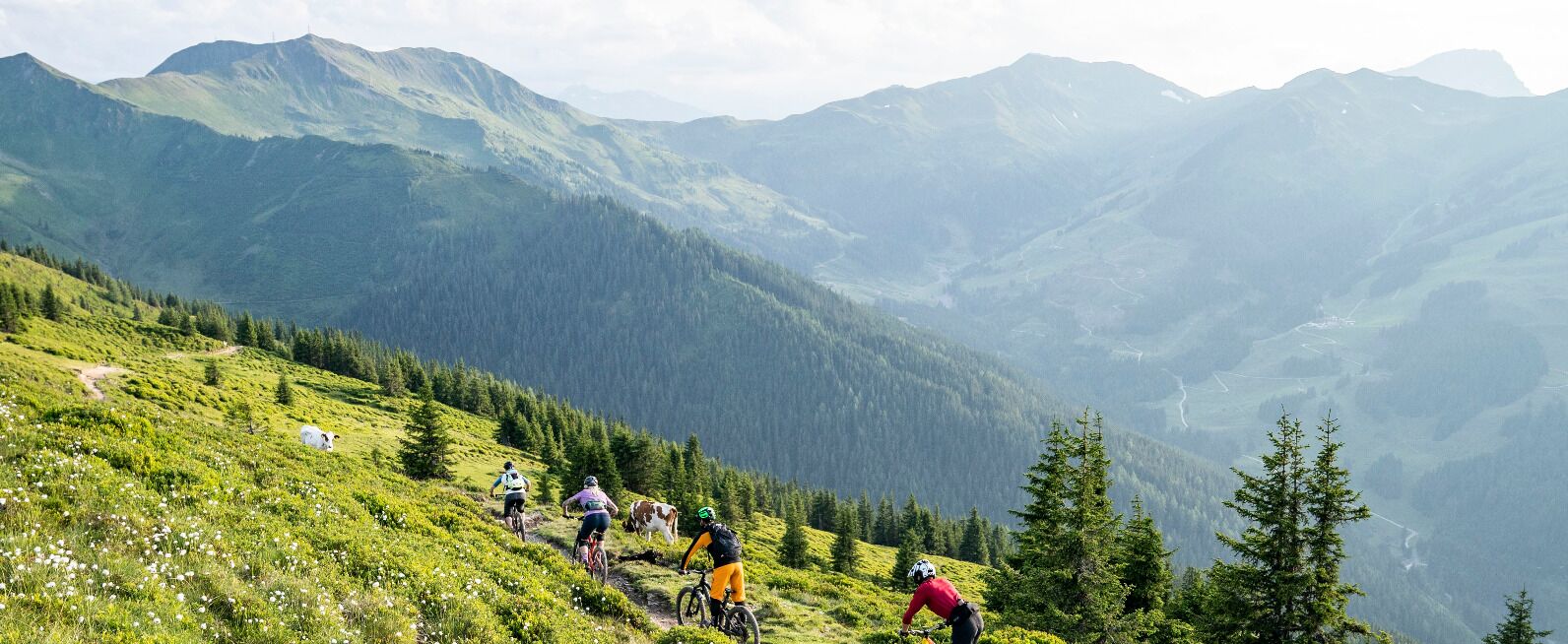 Sportpension Penhab