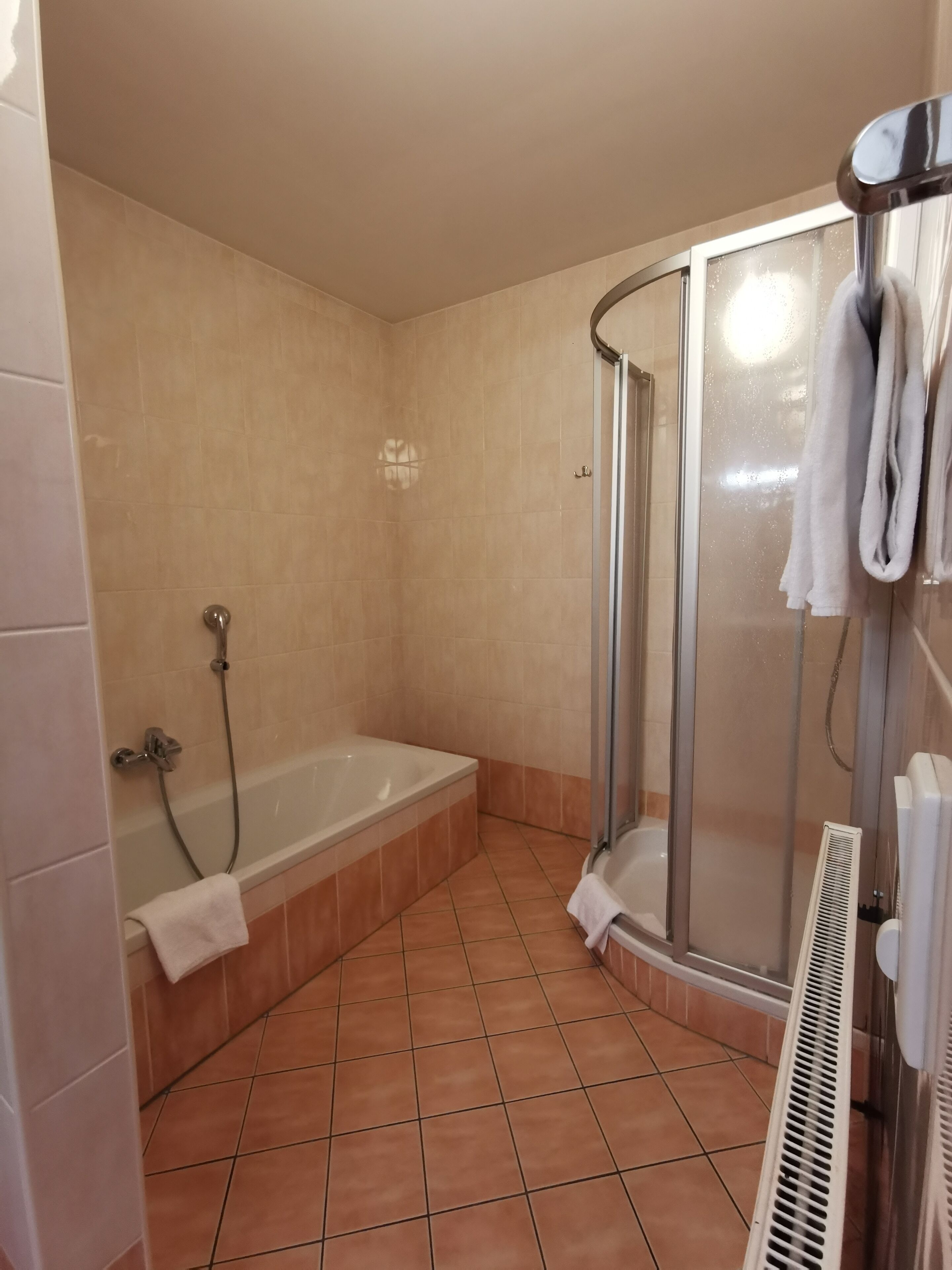 Carpe Solem Kaprun by ALPS RESORTS