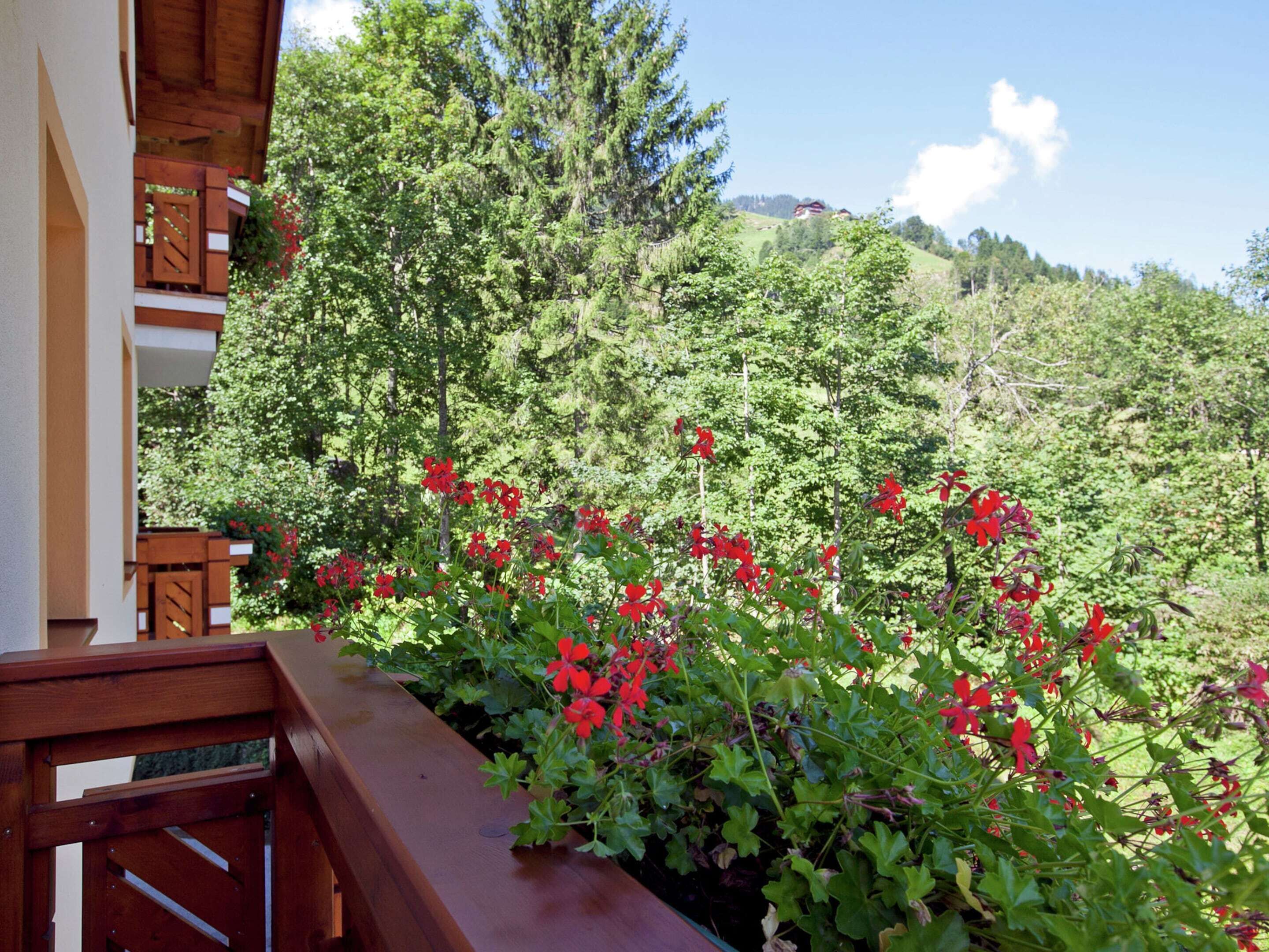 Wellness Aparthotel Montana