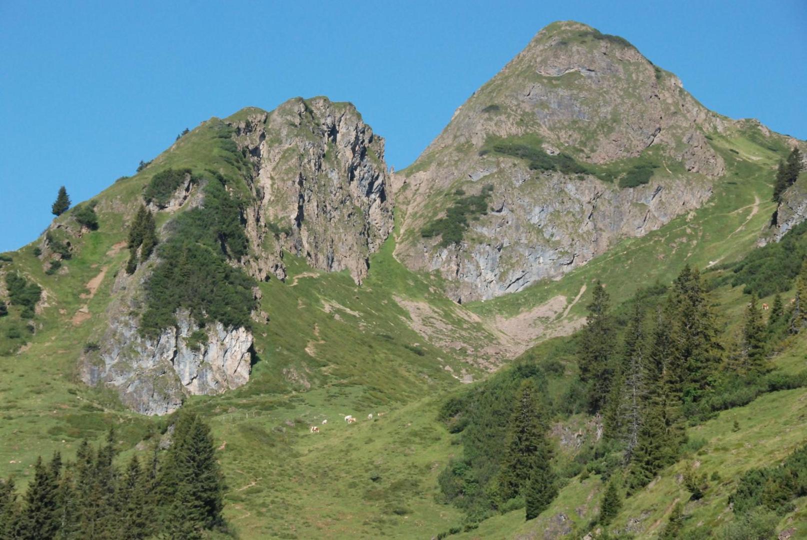 Erbhof Hinterrain