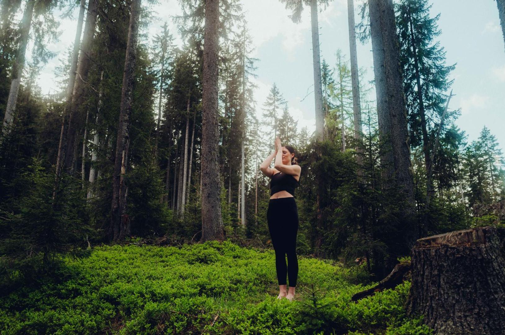 Holzhotel Forsthofalm