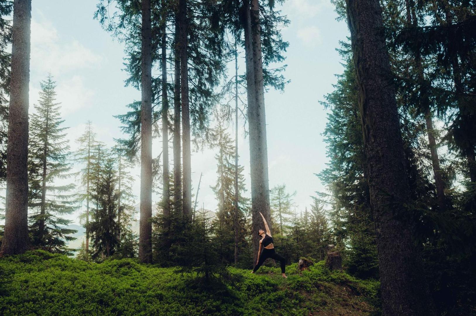 Holzhotel Forsthofalm