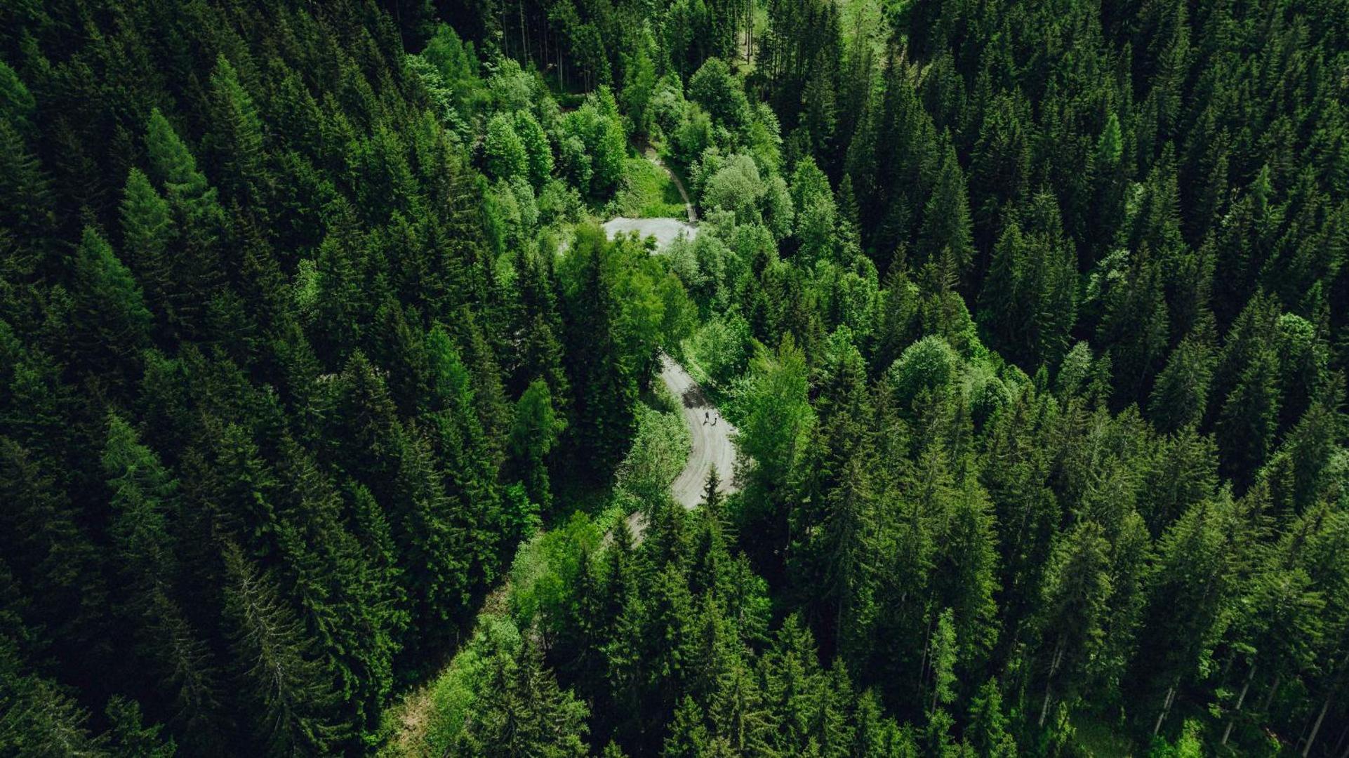 Holzhotel Forsthofalm