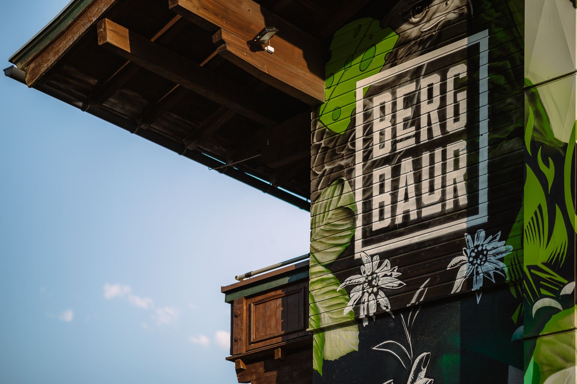 BergBaur