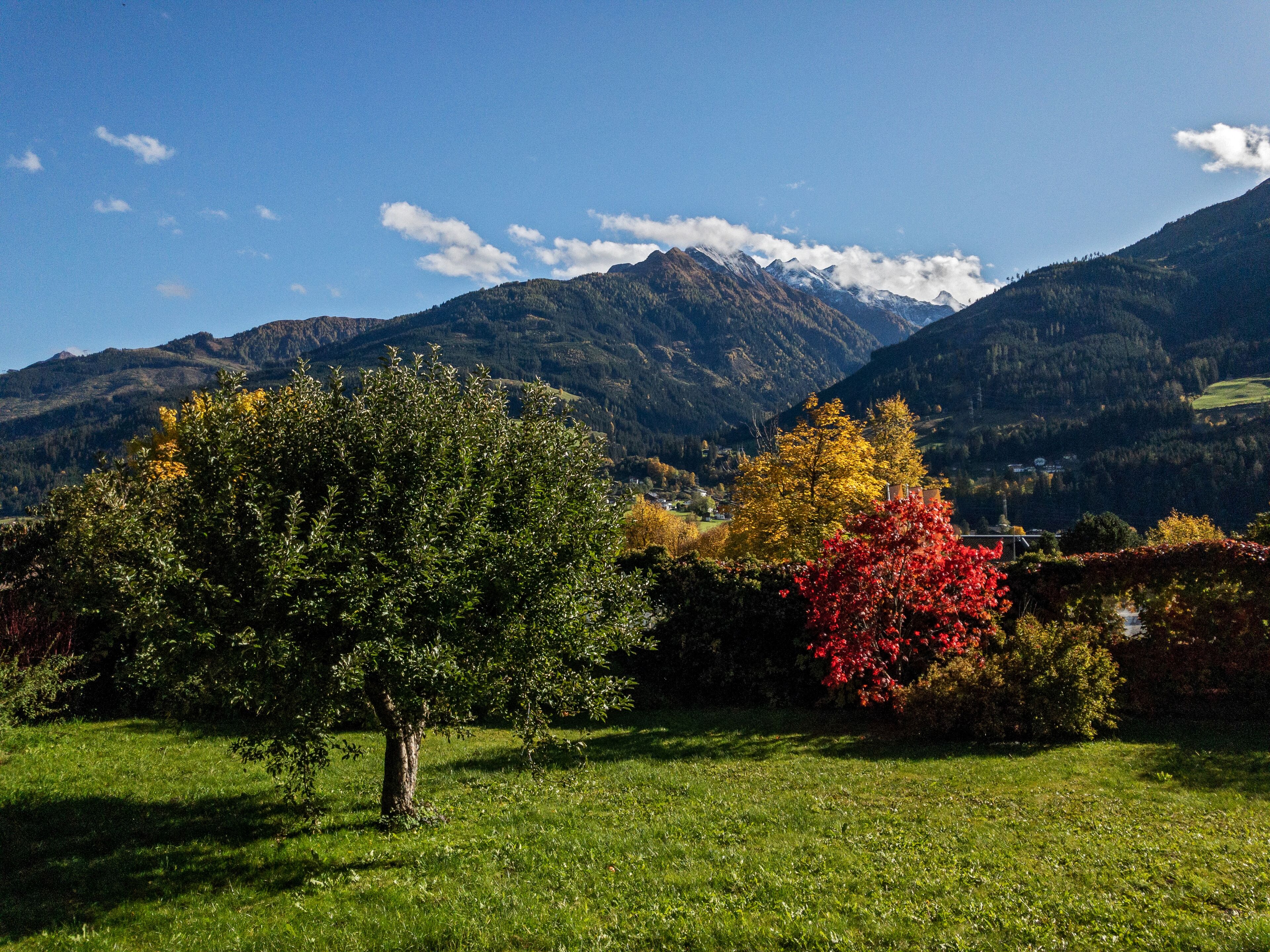 Alpine View Apartments