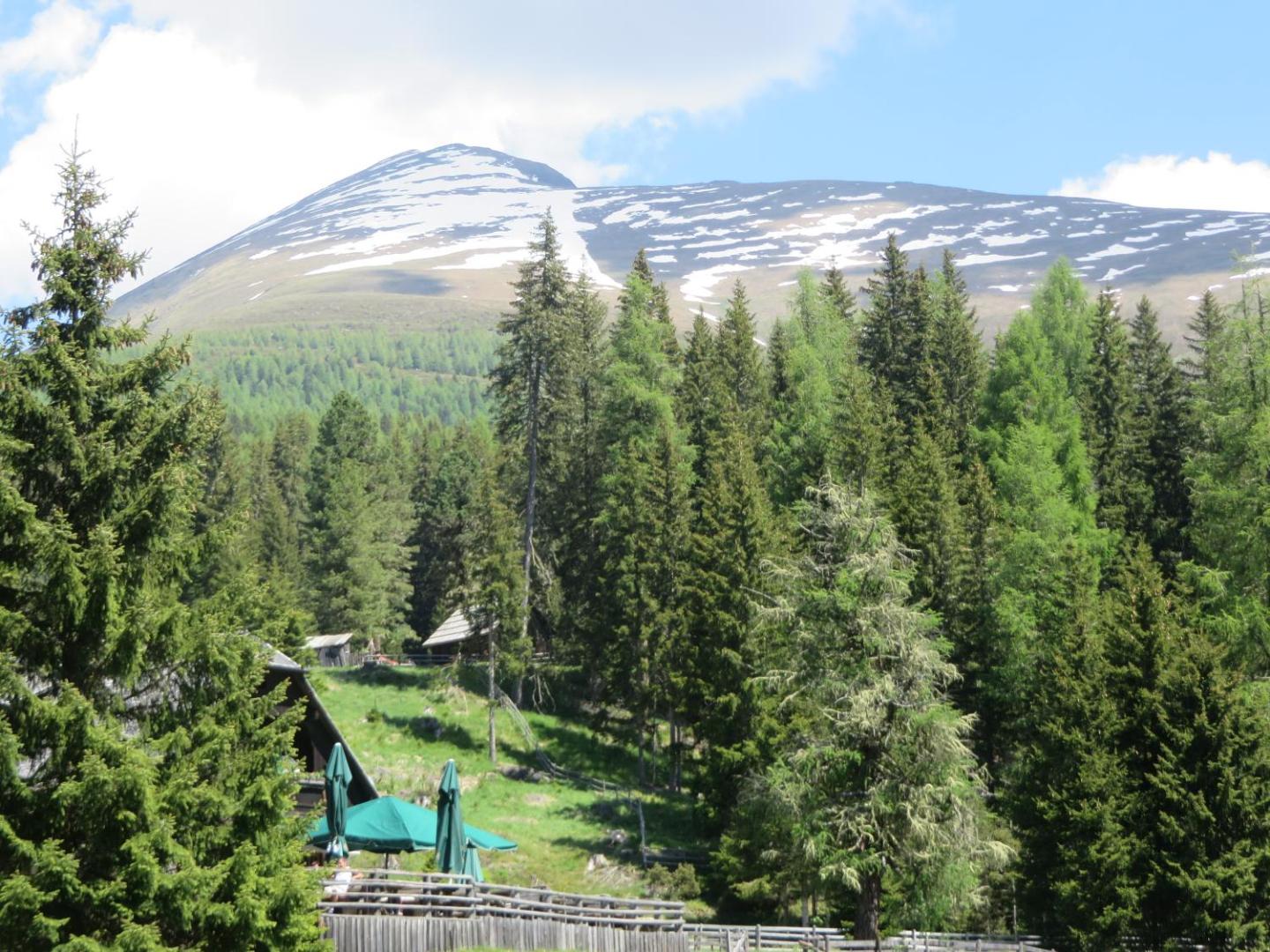 Almhaus Völkl - Karneralm
