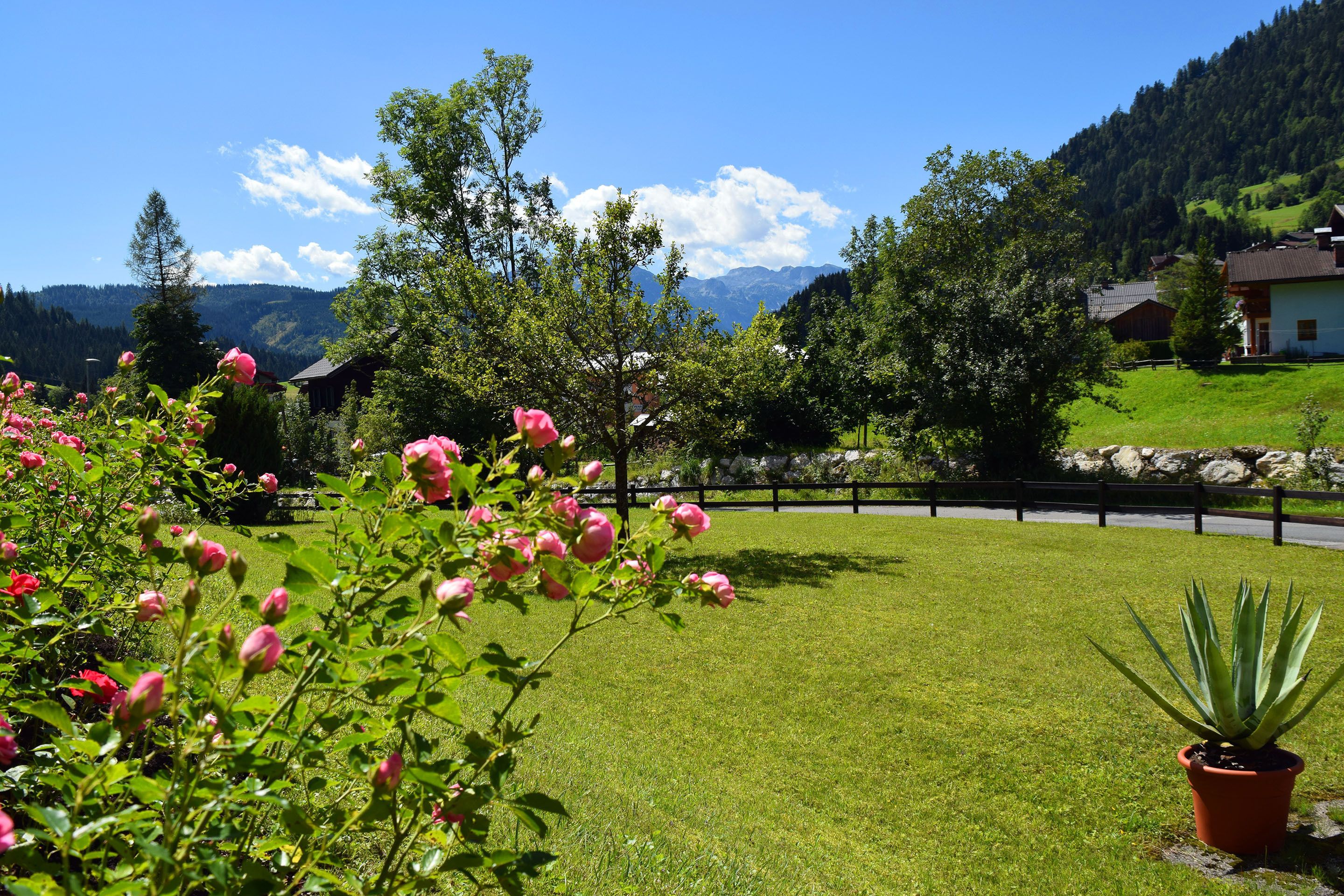 Hotel Kronenhirsch