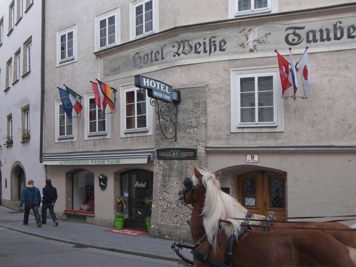Altstadt Weisse Taube