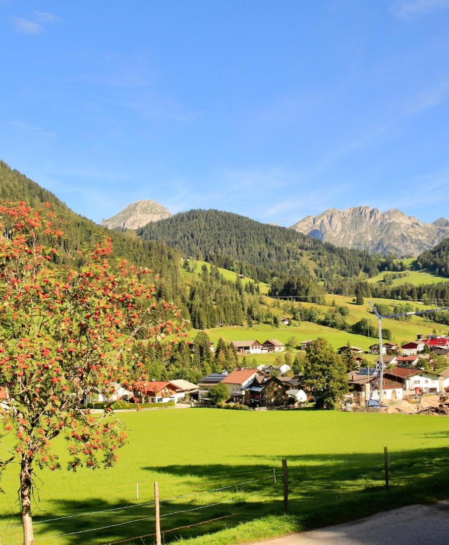 Alpenhof