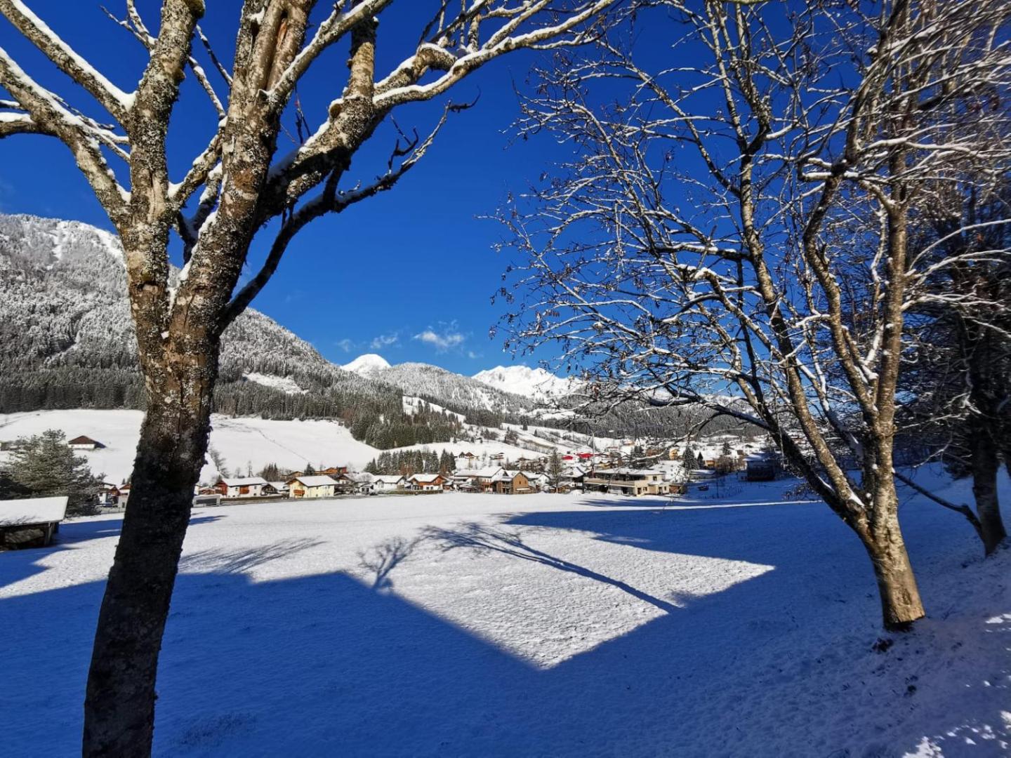 Alpenhof