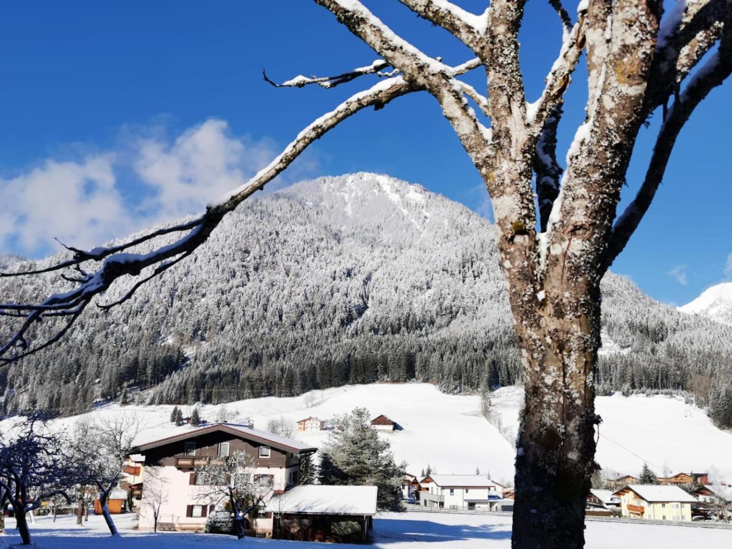 Alpenhof