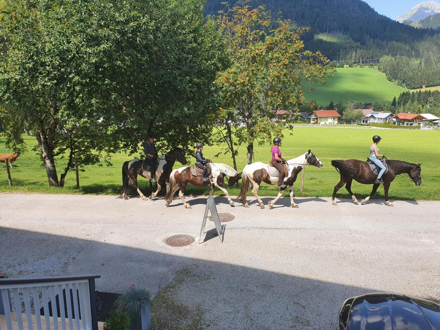 Alpenhof