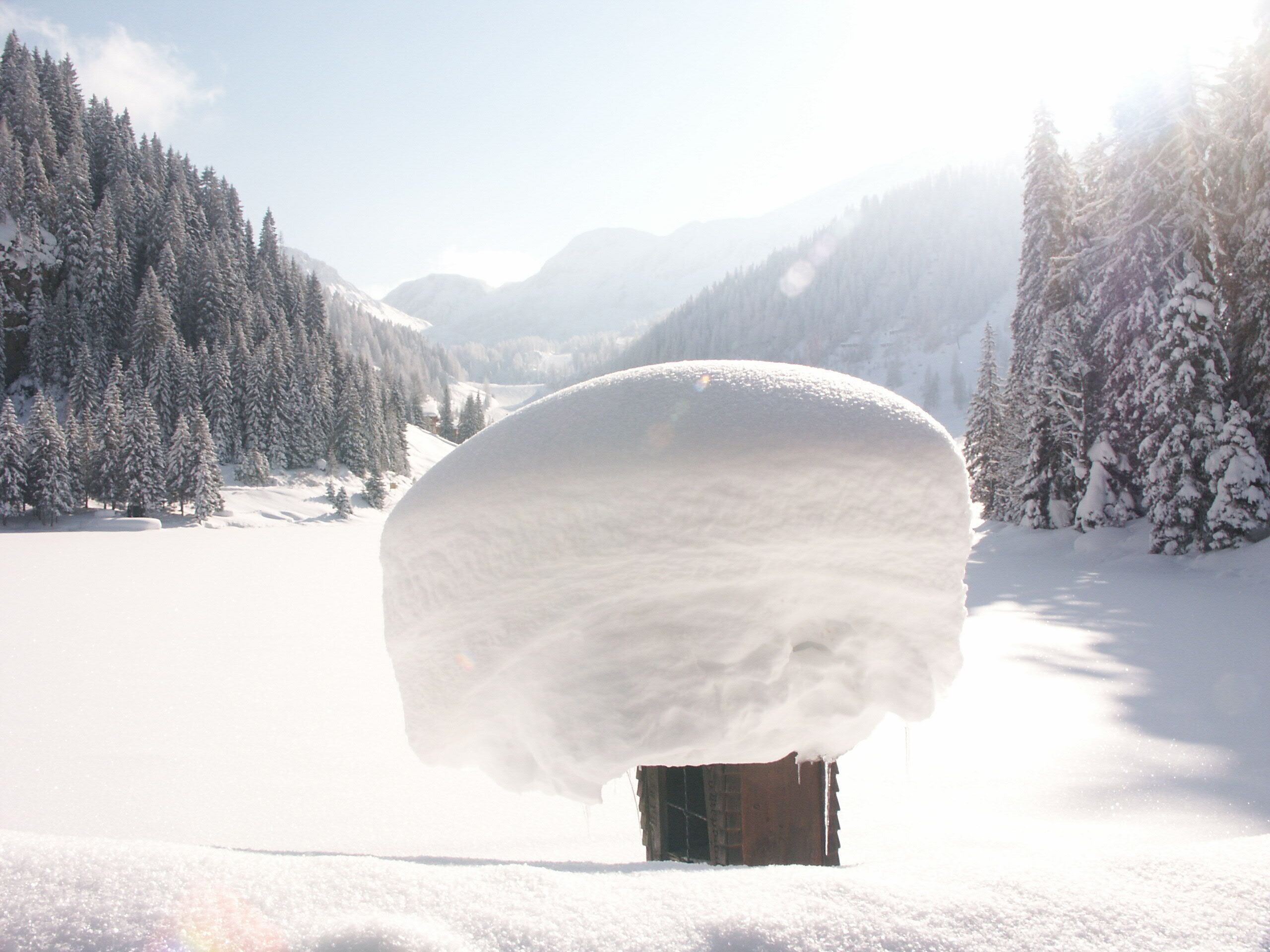 Alpen Appartements