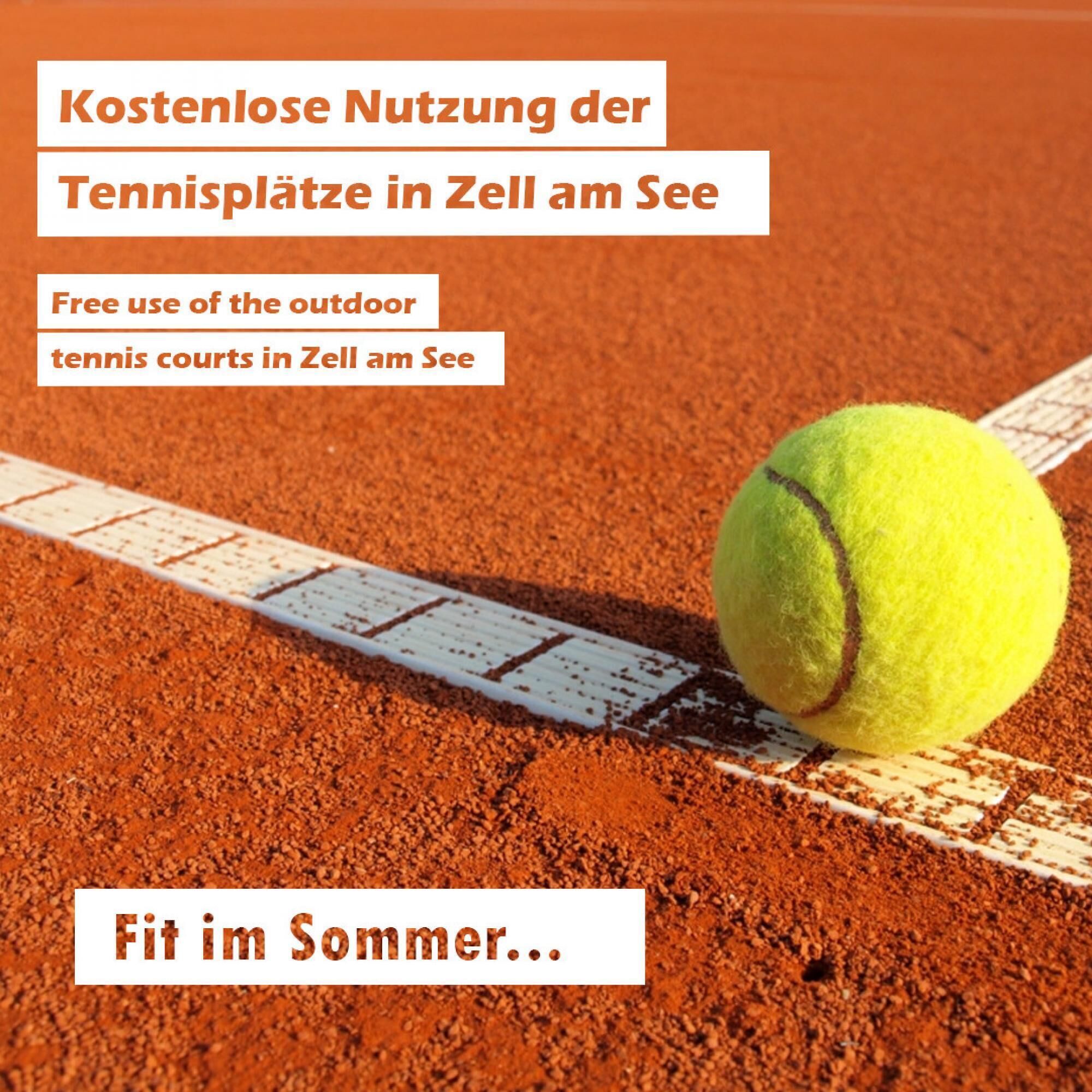 Apartmenthouse '5 Seasons' - Zell am See