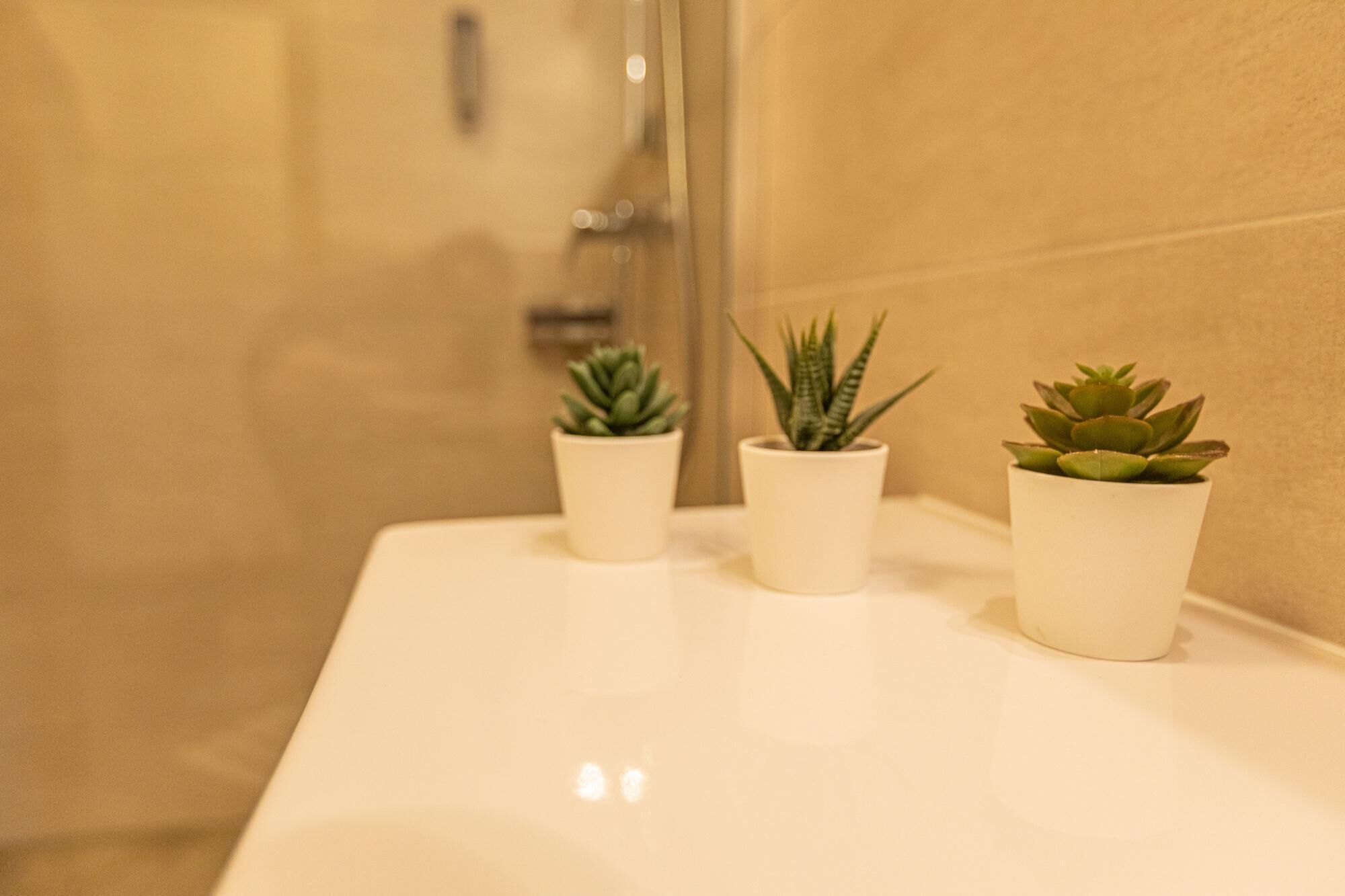 Appartement Tevini