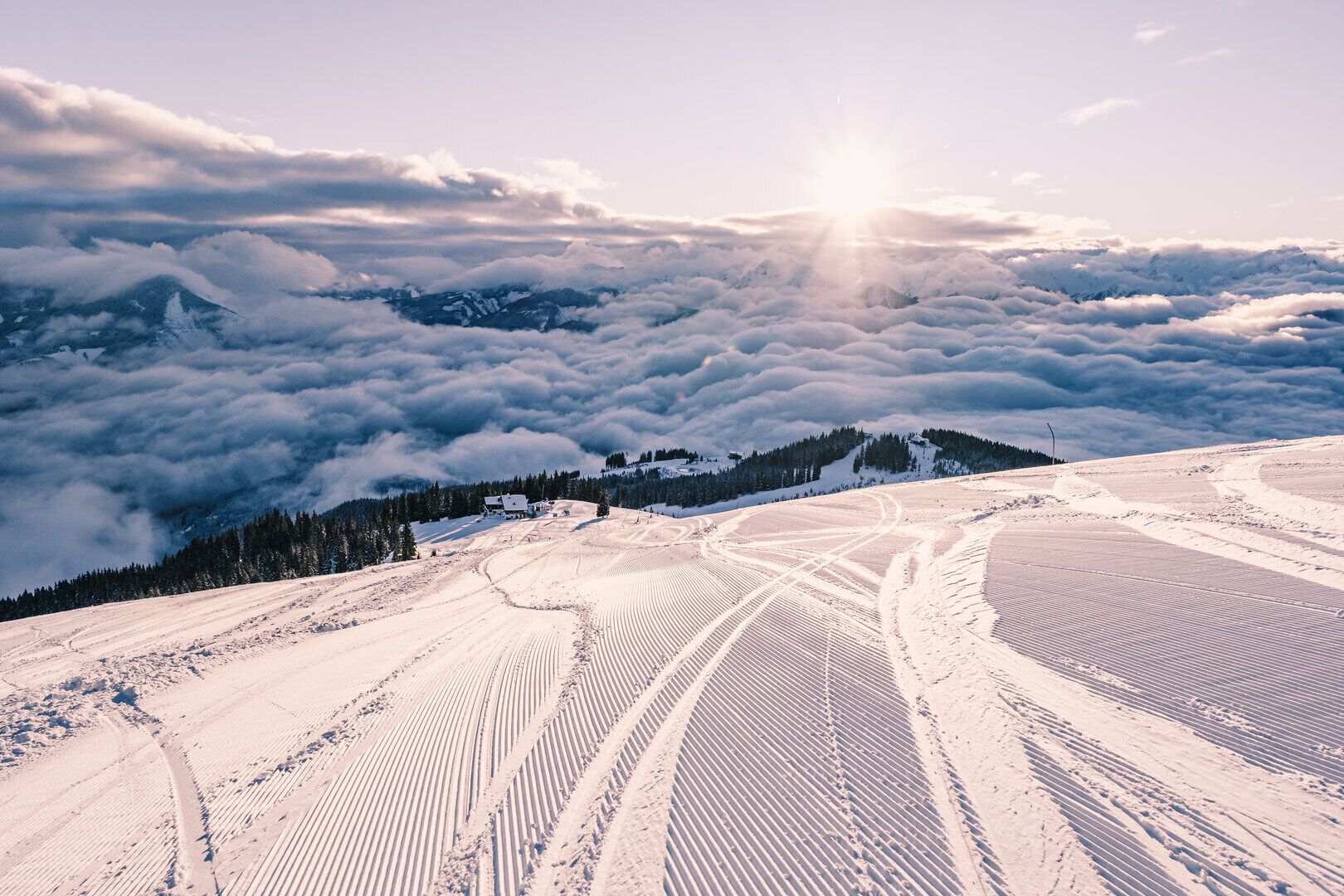 Crown of The Alps