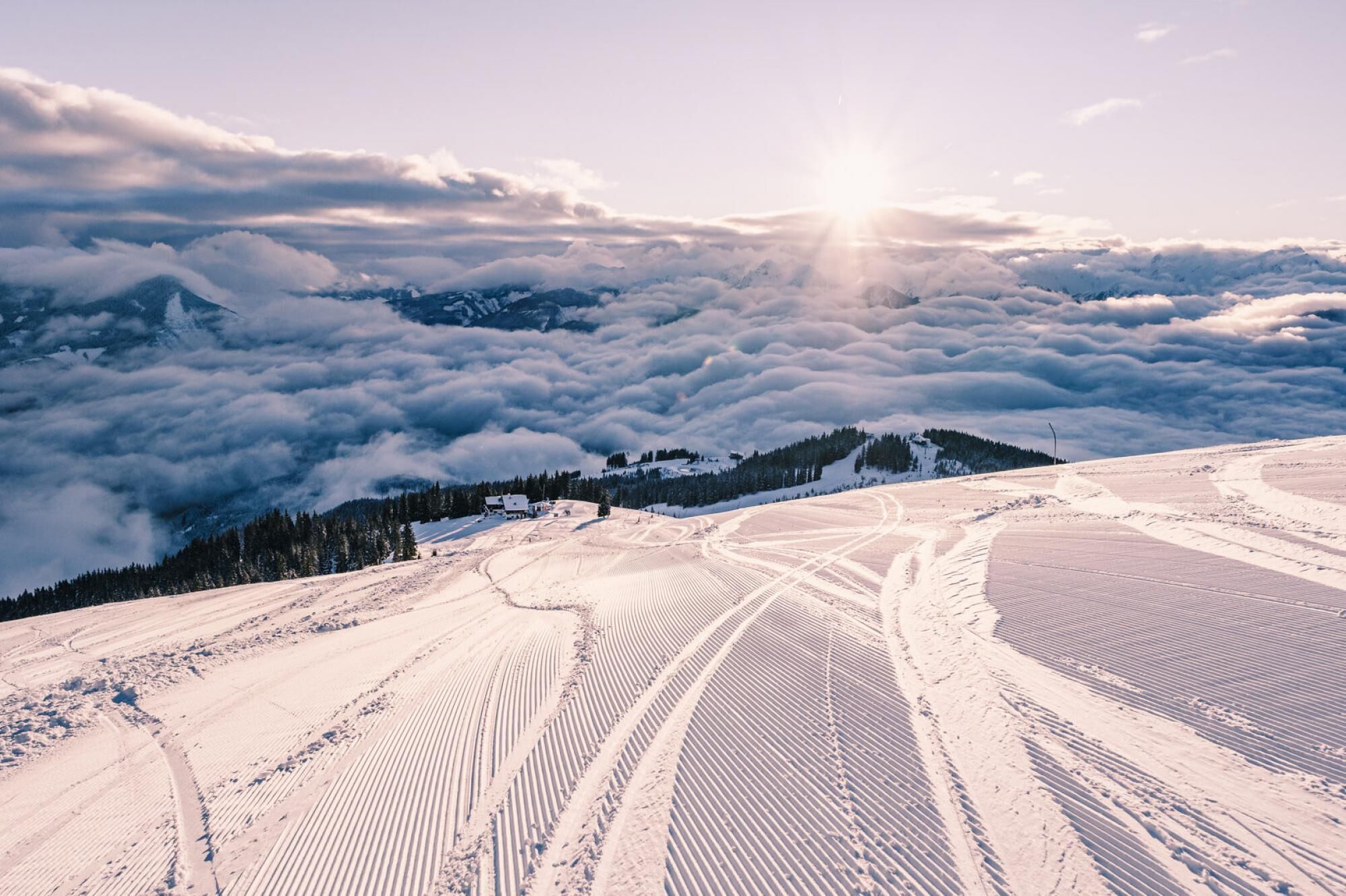 Crown of The Alps