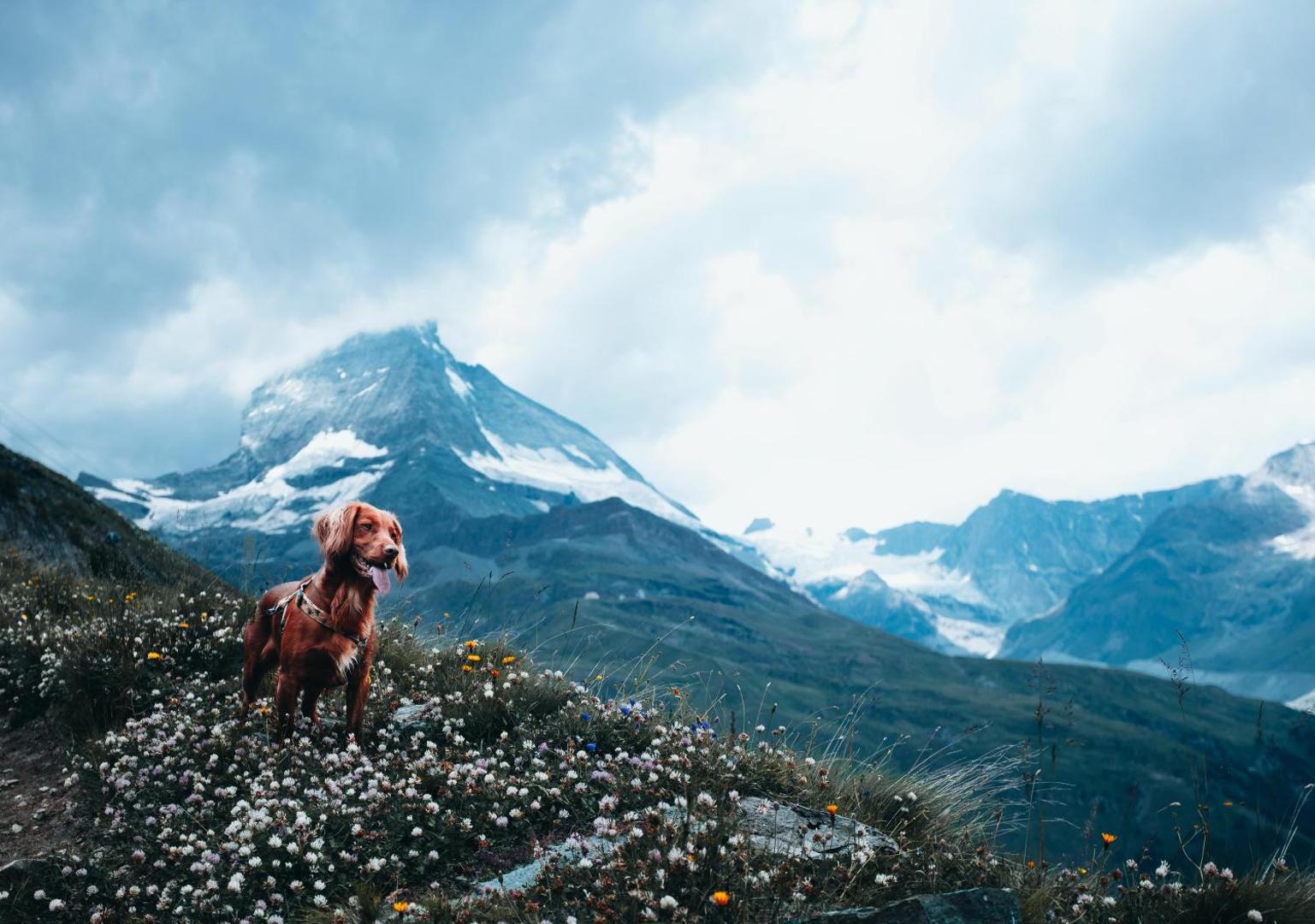 Hapimag Resort Zell Am See