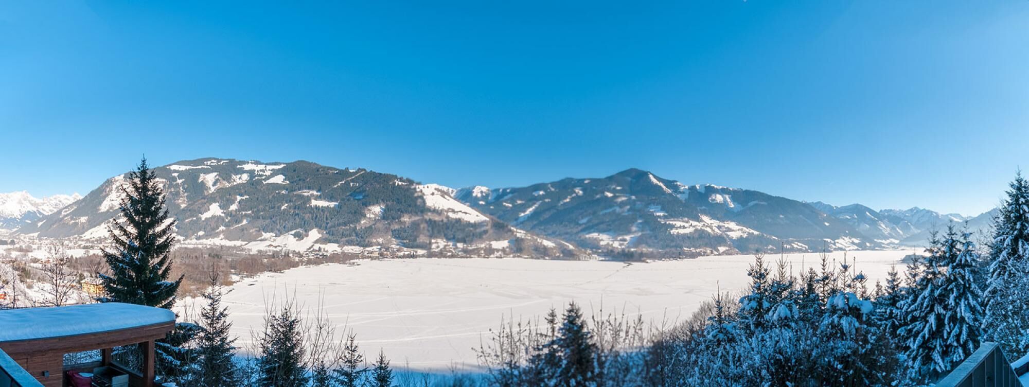 Max Panorama