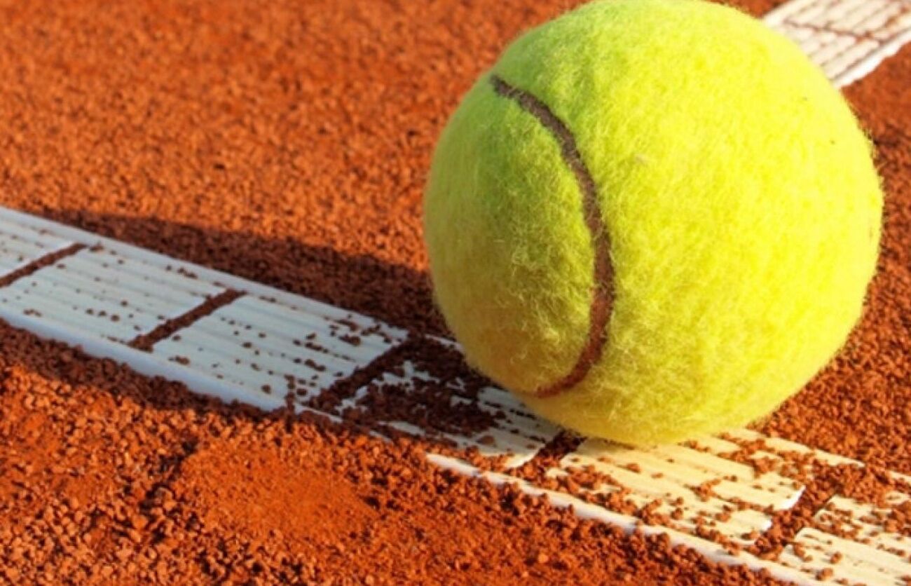 Schmitten Finest Apartments