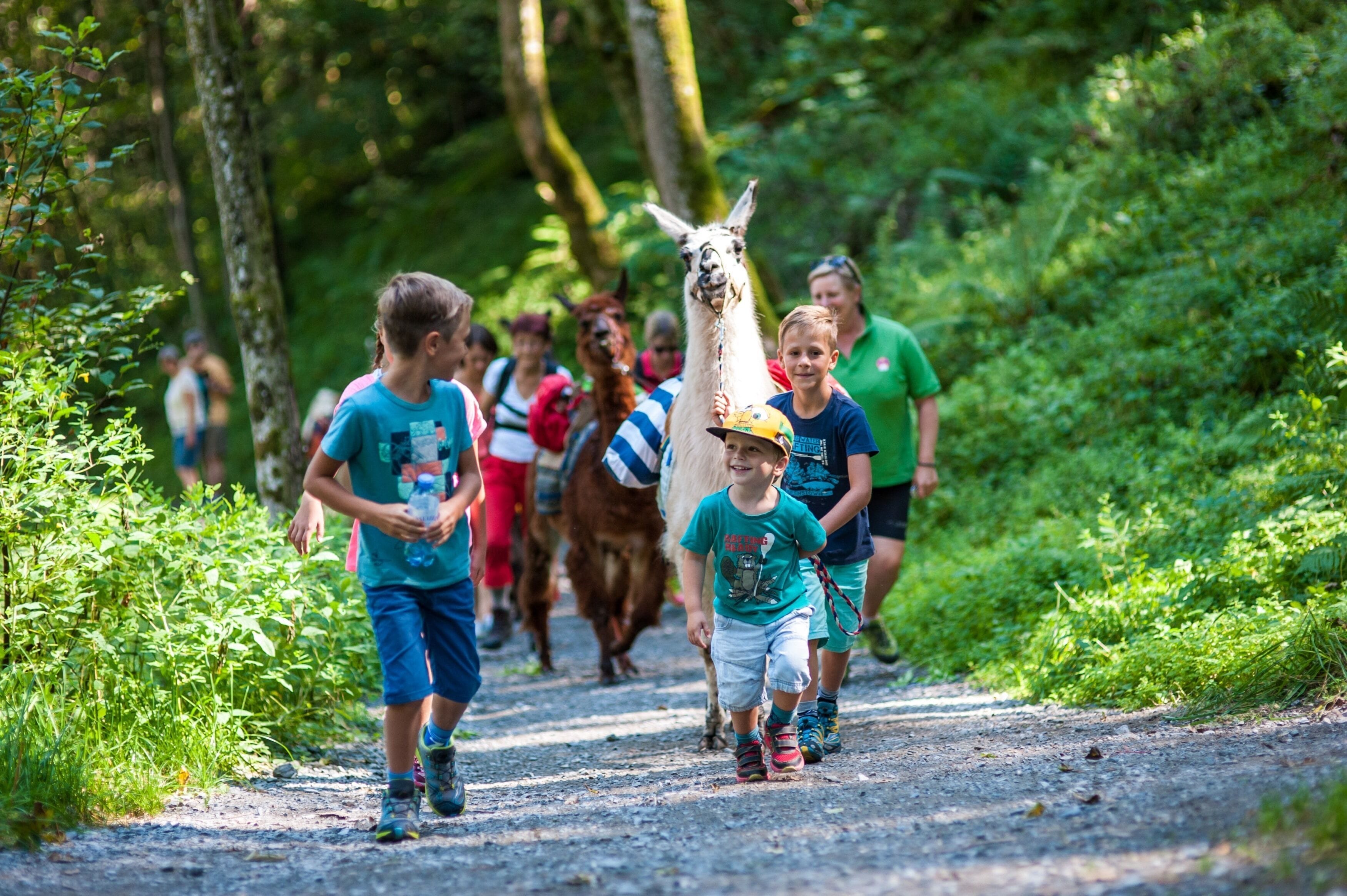 Sportresort Alpenblick