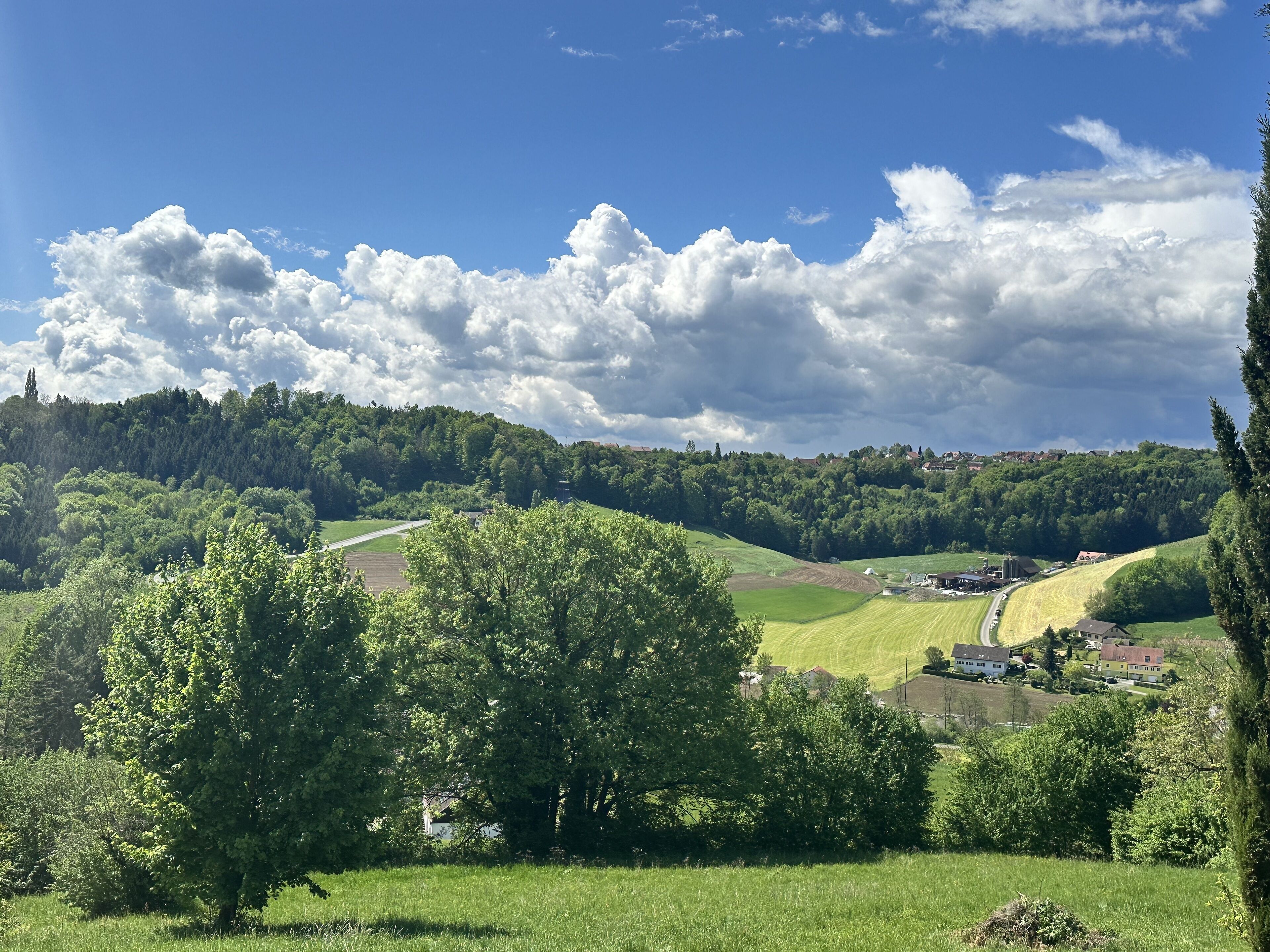 Breitenfelderhof zur Riegersburg