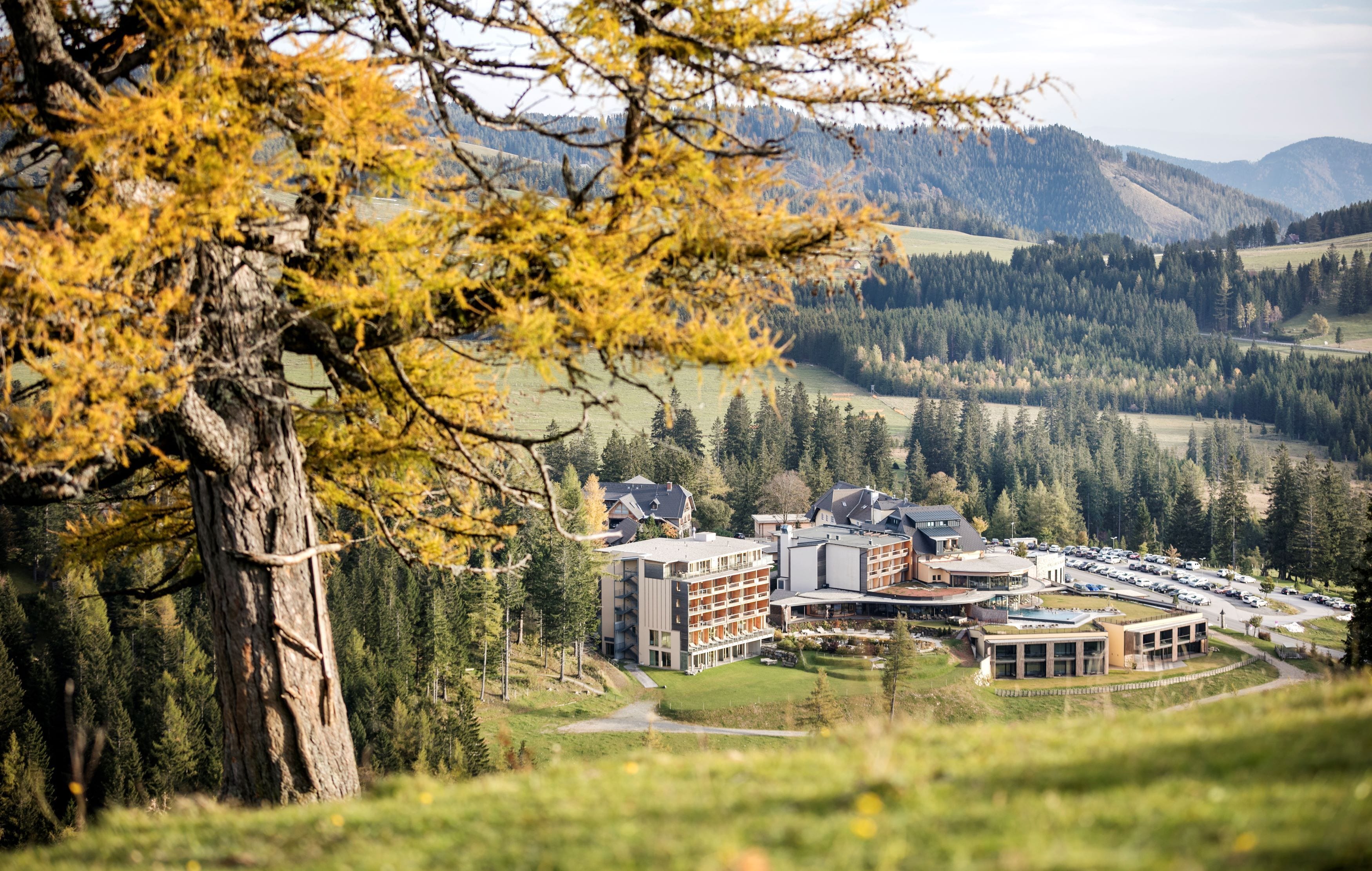 Almwellness Hotel Pierer Superior