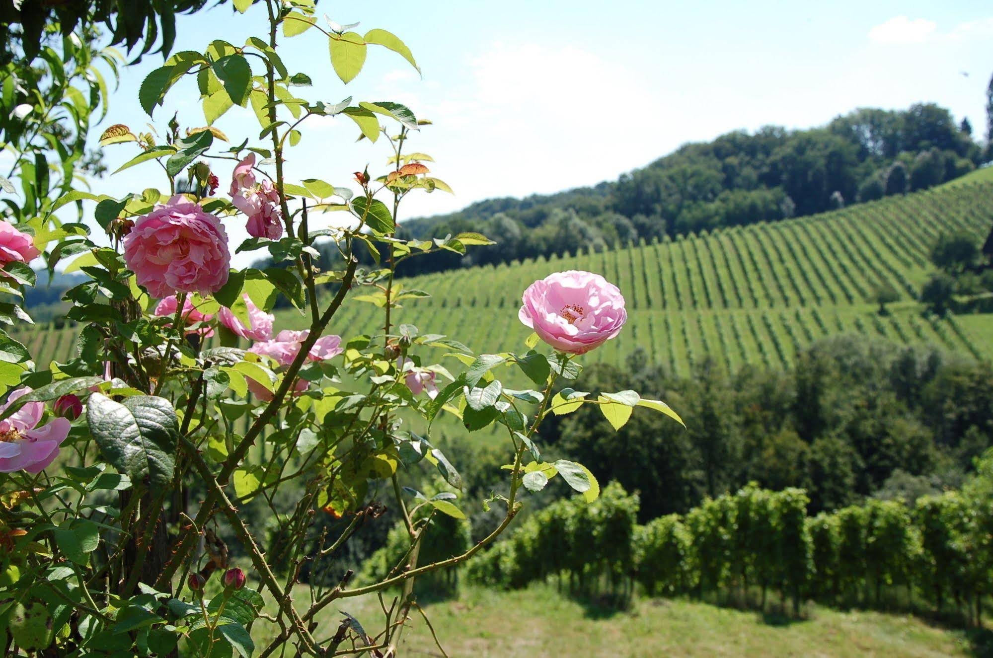 Weingut Primus