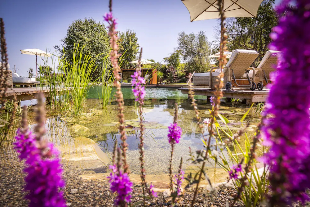 Golden Hill Country Chalets & Suites