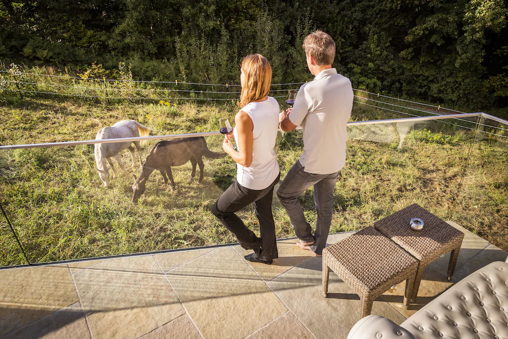 Golden Hill Country Chalets & Suites
