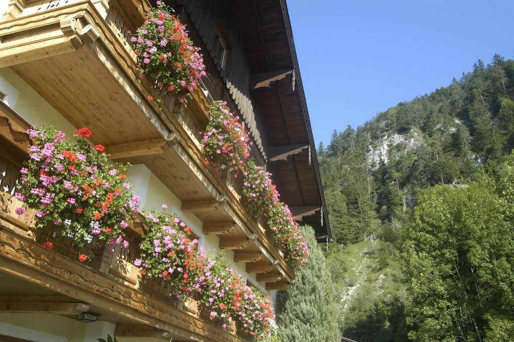 Rega Pension