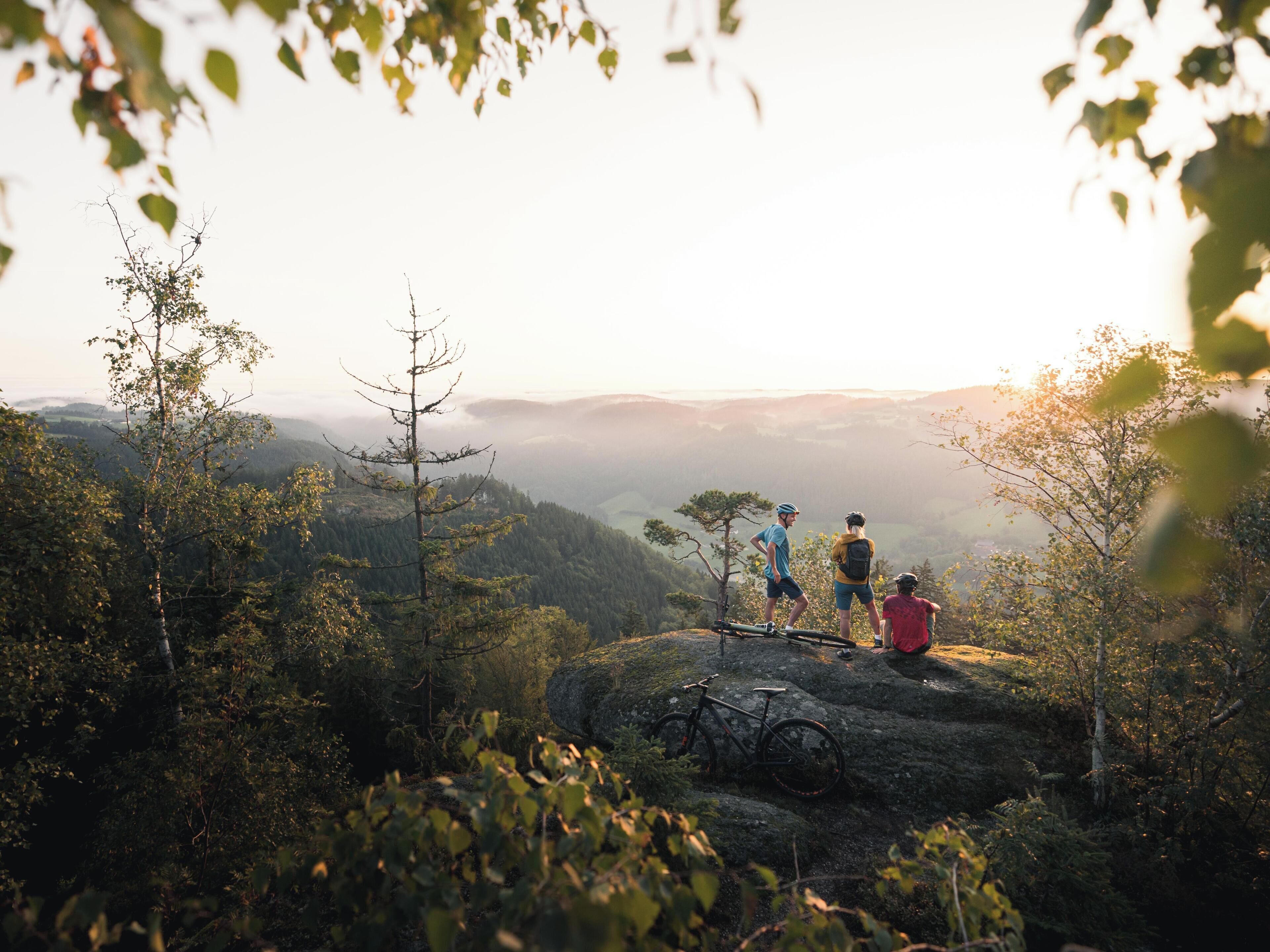 Hotel AVIVA make friends