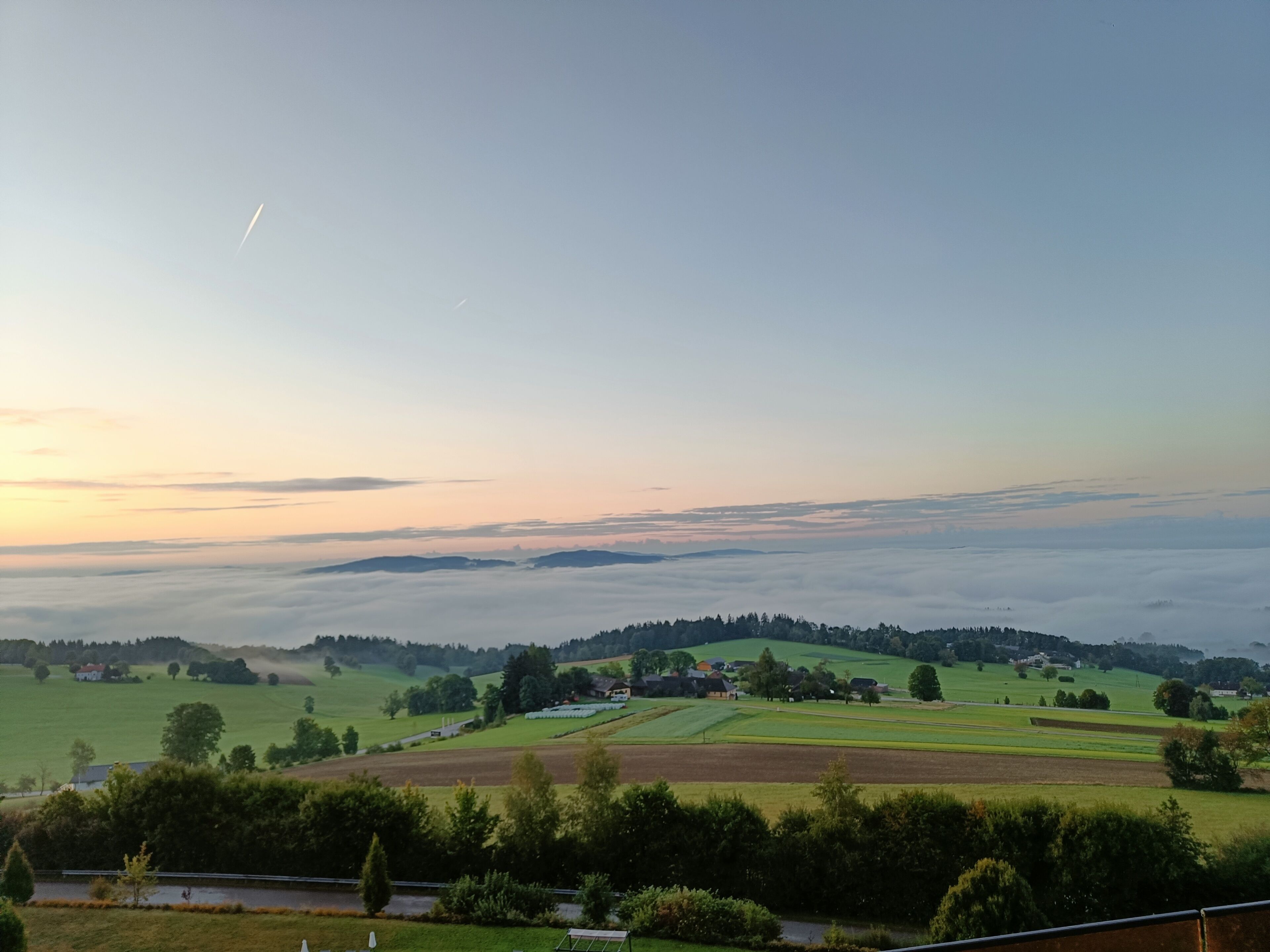 Hotel AVIVA make friends