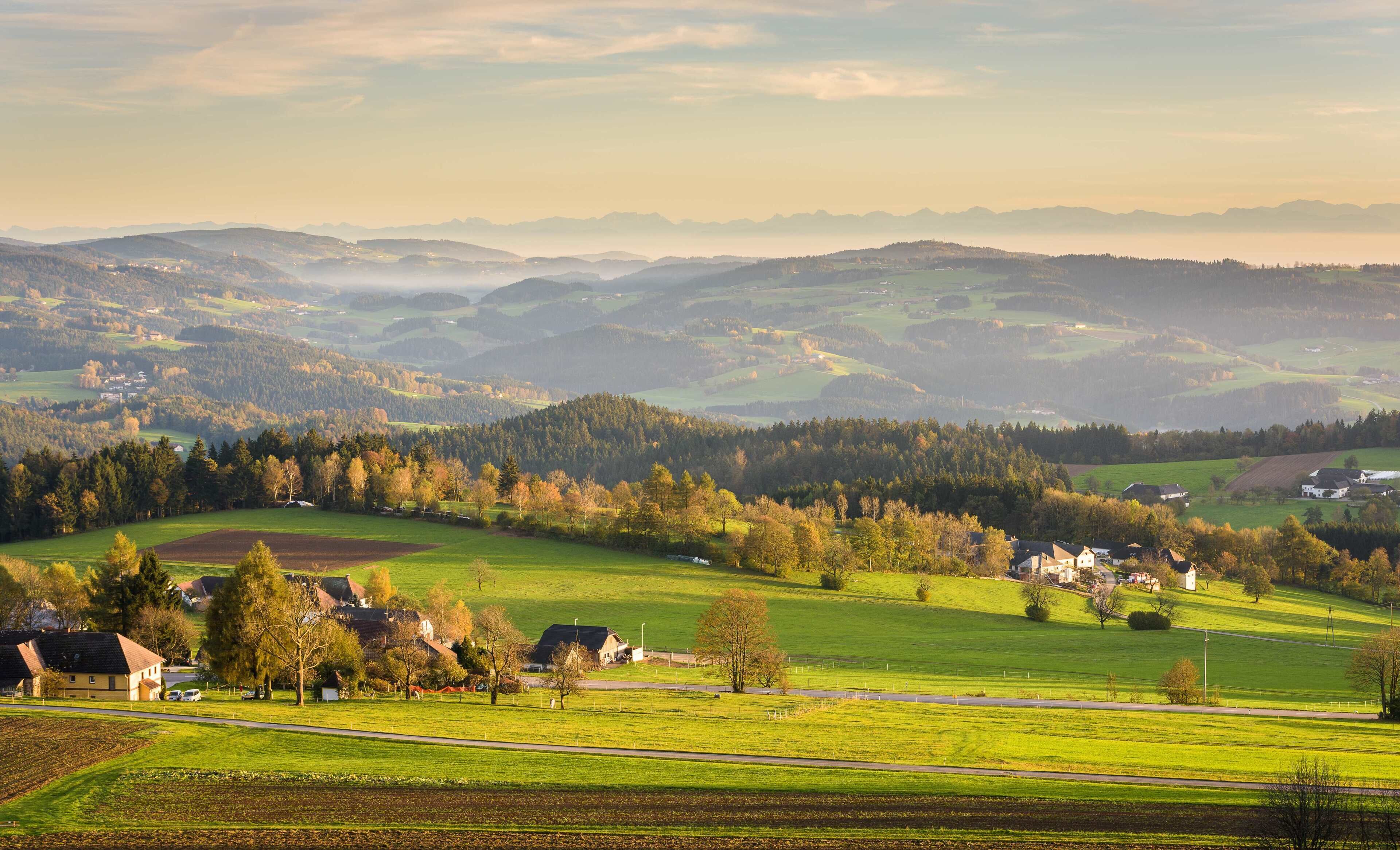 Hotel AVIVA make friends