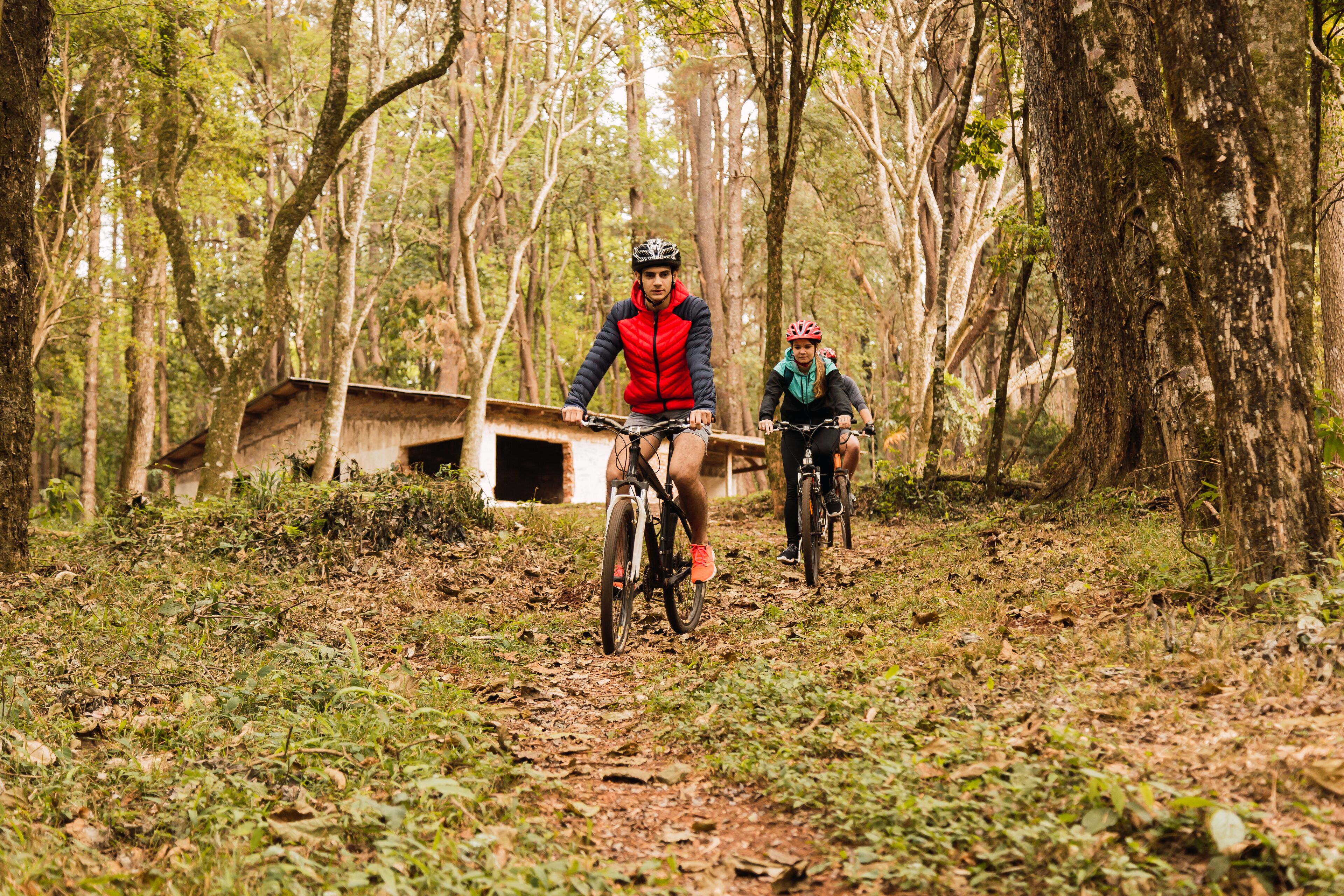 Hotel AVIVA make friends